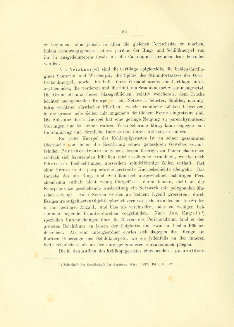 zu beginnen, ohne jedoch in allen die gleichen Fortschritte zu machen, indem erfahrangsgemäss ceteris paribus der Ring- und Schildknorpel von ihr in ausgedehnterem Grade als die Cartilagines arytaenoideae betroffen werden. Aus Netzknorpel sind die Cartilago epiglottidis, die beiden Cartila- gines Santorini und Wrisbergii, die Spitze des Stimmfortsatzes der Giess- beckenknorpel, sowie, im Falle ihres Vorhandenseins die Cartilago inter- arytaenoidea, die vorderen und die hinteren Sesamknorpel zusammengesetzt. Die Grundsubstanz dieser, blassgelblichen, relativ weicheren, dem Drucke leichter nachgebenden Knorpel ist ein Netzwerk feinster, dunkler, mannig- faltig verfilzter elastischer Fibrillen, welche rundliche Lücken begrenzen, in die grosse helle Zellen mit ungemein deutlichem Kerne eingestreut sind. Die Substanz dieser Knorpel hat eine geringe Neigung zu parenchymatösen Störungen und ist keiner wahren Verknöcherung fähig, kann dagegen eine Xmprägnirung und förmliche Incrustation durch Kalksalze erfahren. Ein jeder Knorpel des Kehlkopfgerüstes ist an seiner gesammten Oberfläche von einem die Ernährung seines gefässlosen Gewebes vermit- telnden Perichondrium umgeben, dessen faserige, an feinen elastischen vielfach sich kreuzenden Fibrillen reiche collagene Grundlage, welche nach Eh ein er's Beobachtungen ausserdem spindelförmige Zellen enthält, fast ohne Grenze in die peripherische gestreifte Knorpelschichte übergeht. Das Gewebe des am Ring- und Schildknorpel ausgezeichnet mächtigen Peri- chondrium enthält nicht wenig Blutgefässe, deren feinste, dicht an der Knorpelgrenze geschehende Ausbreitung ein Netzwerk mit polygonalen Ma- schen erzeugt. Auch Nerven werden an keinem irgend grösseren, durch Essigsäure aufgeklärten Objekte gänzlich vermisst, jedoch an den meisten Stellen in nur geringer Anzahl, und blos als vereinzelte, oder zu wenigen bei- sammen liegende Primitivröhrchen vorgefunden. Nach Jos. Engel's x) speziellen Untersuchungen über die Nerven des Perichondrium fand er den grössten Reichthum an jenem der Epiglottis und zwar an beiden Flächen derselben. Als sehr untergeordnet erwies sich dagegen ihre Menge am fibrösen Ueberzuge des Schildknorpels, wo sie jedenfalls an der inneren Seite reichlicher, als an der entgegengesetzten vorzukommen pflegen. Die in den Aufbau des Kehlkopfgerüstes eingehenden ligamentösen 1) Zeitschrift der Gesellschaft der Aerzte zu Wien. 1847. Bd I. S. 312.