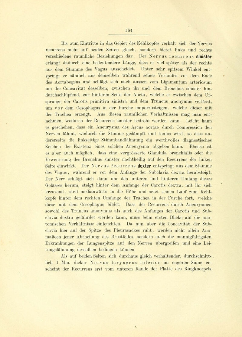 Bis zum Eintritte in das Gebiet des Kehlkopfes verhält sich der Nervus recurrens nicht auf beiden Seiten gleich, sondern bietet links und rechts verschiedene räumliche Beziehungen dar. Der Nervus recurrens sillister erlangt dadurch eine bedeutendere Länge, dass er viel später als der rechte aus dem Stamme des Vagus ausscheidet. Unter sehr spitzem Winkel ent- springt er nämlich aus demselben während seines Verlaufes vor dem Ende des Aortabogens und schlägt sich nach aussen vom Ligamentum arteriosum um die Concavität desselben, zwischen ihr und dem Bronchus sinister hin- durchschlüpfend, zur hinteren Seite der Aorta, welche er zwischen dem Ur- sprünge der Carotis primitiva sinistra und dem Truncus anonymus verlässt, um vor dem Oesophagus in der Furche emporzusteigen, welche dieser mit der Trachea erzeugt. Aus diesen räumlichen Verhältnissen mag man ent- nehmen, wodurch der Recurrens sinister bedroht werden kann. Leicht kann es geschehen, dass ein Aneurysma des Arcus aortae durch Compression den Nerven lähmt, wodurch die Stimme gedämpft imd tonlos wird, so dass an- dererseits die linkseitige Stimmbandlähmung ein werthvolles diagnostisches Zeichen der Existenz eines solchen Aneurysma abgeben kann. Ebenso ist es aber auch möglich, dass eine vergrösserte Glandula bronchialis oder die Erweiterung des Bronchus sinister nachtheilig auf den Recurrens der linken Seite einwirkt. Der Nervus recurrens dexter entspringt aus dem Stamme des Vagus, während er vor dem Anfange der Subclavia dextra herabsteigt. Der Nerv schlägt sich dann um den unteren und hinteren Umfang dieses Gefässes herum, steigt hinter dem Anfange der Carotis dextra, mit ihr sich kreuzend, steil medianwärts in die Höhe und setzt seinen Lauf zum Kehl- kopfe hinter dem rechten Umfange der Trachea in der Furche fort, welche diese mit dem Oesophagus bildet. Dass der Recurrens durch Aneurysmen sowohl des Truncus anonymus als auch des Anfanges der Carotis und Sub- clavia dextra gefährdet werden kann, muss beim ersten Blicke auf die ana- tomischen Verhältnisse einleuchten. Da nun aber die Concavität der Sub- clavia hier auf der Spitze des Pleurasackes ruht, werden nicht allein Ano- maheen jener Abtheilung des Brustfelles, sondern auch die mannigfaltigsten Erkrankungen der Lungenspitze auf den Nerven übergreifen und eine Lei- tungslähmung desselben bedingen können. Als auf beiden Seiten sich durchaus gleich verhaltender, durchschnitt- lich 1 Mm. dicker Nervus laryngeus inferior im engeren Sinne er- scheint der Recurrens erst vom unteren Rande der Platte des Ringknorpels