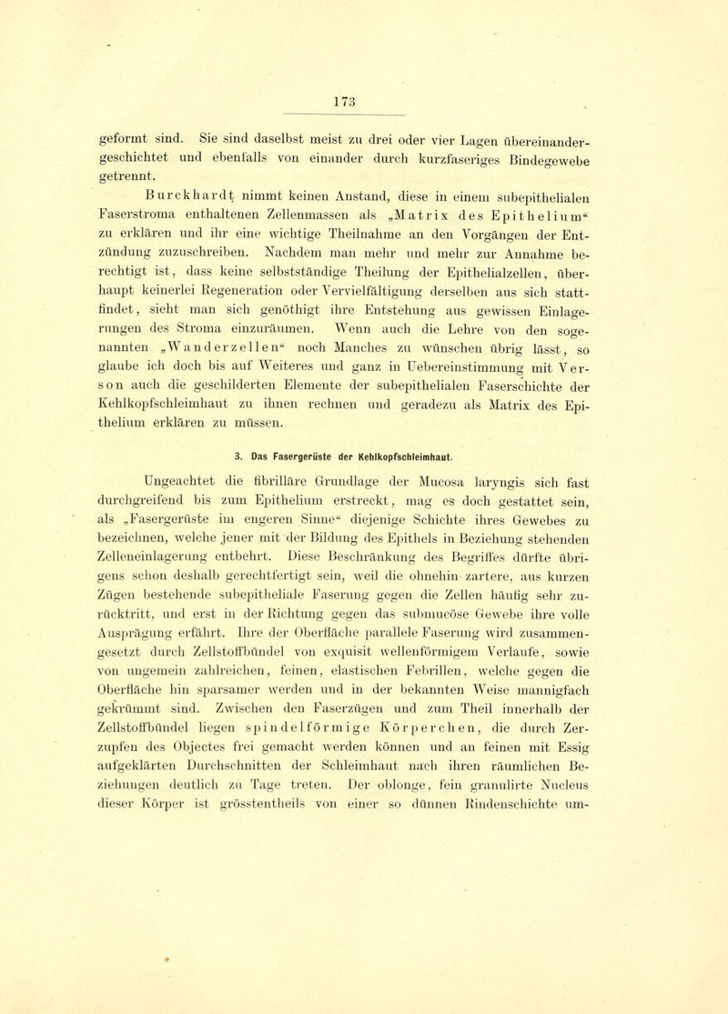 geformt sind. Sie sind daselbst meist zu drei oder vier Lagen übereinander- gesehichtet und ebenfalls von einander durch kurzfaseriges Bindegewebe getrennt. Burckhardt nimmt keinen Anstand, diese in einem subepithelialen Faserstroma enthaltenen Zellenmassen als „Matrix des Epithelium zu erklären und ihr eine wichtige Theilnahme an den Vorgängen der Ent- zündung zuzuschreiben. Nachdem man mehr und mehr zur Annahme be- rechtigt ist, dass keine selbstständige Theilung der Epithelialzellen, über- haupt keinerlei Regeneration oder Vervielfältigung derselben aus sich statt- findet, sieht man sich genöthigt ihre Entstehung aus gewissen Einlage- rungen des Stroma einzuräumen. Wenn auch die Lehre von den soge- nannten „Wanderzellen noch Manches zu wünschen übrig lässt, so glaube ich doch bis auf Weiteres und ganz in Uebereinstimmung mit Ver- son auch die geschilderten Elemente der subepithelialen Faserschichte der Kehlkopfschleimhaut zu ihnen rechnen und geradezu als Matrix des Epi- thelium erklären zu müssen. 3. Das Fasergerüste der Kehlkopfschleimhaut. Ungeachtet die fibrilläre Grundlage der Mucosa laryngis sich fast durchgreifend bis zum Epithelium erstreckt, mag es doch gestattet sein, als „Fasergerüste im engeren Sinne diejenige Schichte ihres Gewebes zu bezeichnen, welche jener mit der Bildung des Epithels in Beziehung stehenden Zelleneinlagerung entbehrt. Diese Beschränkung des Begriffes dürfte übri- gens schon deshalb gerechtfertigt sein, weil die ohnehin zartere, aus kurzen Zügen bestehende subepitheliale Faserung gegen die Zellen häufig sehr zu- rücktritt, und erst in der Richtung gegen das submucöse Gewebe ihre volle Ausprägung erfährt. Ihre der Oberfläche parallele Faserung wird zusammen- gesetzt durch Zellstoffbündel von exquisit wellenförmigem Verlaufe, sowie von ungemein zahlreichen, feinen, elastischen Febrillen, welche gegen die Oberfläche hin sparsamer werden und in der bekannten Weise mannigfach gekrümmt sind. Zwischen den Faserzügen und zum Theil innerhalb der Zellstoffbündel liegen spindelförmige Körperchen, die durch Zer- zupfen des Objectes frei gemacht werden können und an feinen mit Essig aufgeklärten Durchschnitten der Schleimhaut nach ihren räumlichen Be- ziehungen deutlich zu Tage treten. Der oblonge, fein granulirte Nucleus dieser Körper ist grösstentheils von einer so dünnen Rindenschichte um-