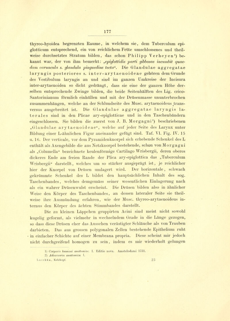 thyreo-hyoidea begrenzten Räume, in welchem sie, dem Tubereulum epi- glotticum entsprechend, ein von reichlichem Fette umschlossenes und theil- weise durchsetztes Stratum bilden, das schon Philipp Verheyen1) be- kannt war, der von ihm bemerkt: „epiglottidis parti gibbosae incumbit quae- dam caruncida s. glandula pinguedine tecta. Die Glandulae aggregatae laryngis posteriores s. inter-arytaenoideae gehören dem Grunde des Vestibulum laryngis an und sind im ganzen Umkreise der Incisura inter-arytaenoidea so dicht gedrängt, dass sie eine der ganzen Höhe der- selben entsprechende Zwinge bilden, die beide Seitenhälften des Lig. crico- Santorinianum förmlich einhüllen und mit der Drüsenmasse ununterbrochen zusammenhängen, welche an der Schlundseite des Muse, arytaenoideus trans- versus ausgebreitet ist. Die Glandulae aggregatae laryngis la- terales sind in den Plicae ary-epiglotticae und in den Taschenbändern eingeschlossen. Sie bilden die zuerst von J. B. Morgagni1) beschriebenen „Glandulae arytaenoideae, welche auf jeder Seite des Larynx unter Bildung einer L-ähnlichen Figur aneinander gefügt sind. Taf. VI. Fig. IV. 15 u. 16. Der verticale, vor dem Pyramidenknorpel sich erhebende Schenkel des L enthält als Axengebilde die aus Netzknorpel bestehende, schon von Morgagni als „Columella bezeichnete keulenförmige Cartilago Wrisbergii, deren oberes dickeres Ende am freien Rande der Plica ary-epiglottica das „Tubereulum Wrisbergii darstellt, welches um so stärker ausgeprägt ist, je reichlicher hier der Knorpel von Drüsen umlagert wird. Der horizontale, schwach gekrümmte Schenkel des L bildet den hauptsächlichen Inhalt des sog. Taschenbandes, welches demgemäss seiner wesentlichen Einlagerung nach als ein wahrer Drüsenwulst erscheint. Die Drüsen bilden also in ähnlicher Weise den Körper des Taschenbandes, an dessen lateraler Seite sie theil- weise ihre Ausmündung erfahren, wie der Muse, thyreo-arytaenoideus in- ternus den Körper des ächten Stimmbandes darstellt. Die zu kleinen Läppchen gruppirten Acini sind meist nicht sowohl kugelig geformt, als vielmehr in wechselndem Grade in die Länge gezogen, so dass diese Drüsen eher das Aussehen verästigter Schläuche als von Trauben darbieten. Das aus grossen polygonalen Zellen bestehende Epithelium ruht in einfacher Schichte auf einer Membrana propria. Diese scheint mir jedoch nicht durchgreifend homogen zu sein, indem es mir wiederholt gelungen 1) Corporis hiimani anatomiae. I. Editio nova. Amstelodami 1731. •2) Adversaria anatomica. \. schka, Kehlkopf. 23