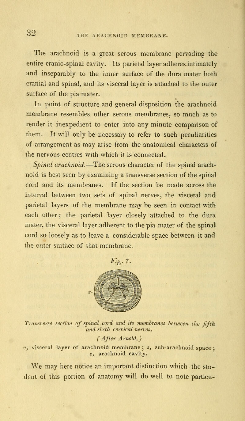 THE ARACHNOID MEMBRANE. The arachnoid is a great serous membrane pervading the entire cranio-spinal cavity. Its parietal layer adheres-intimately and inseparably to the inner surface of the dura mater both cranial and spinal, and its visceral layer is attached to the outer surface of the pia mater. In point of structure and general disposition the arachnoid membrane resembles other serous membranes, so much as to render it inexpedient to enter into any minute comparison of them. It will only be necessary to refer to such peculiarities of arrangement as may arise from the anatomical characters of the nervous centres with which it is connected. Spinal arachnoid.—The serous character of the spina] arach- noid is best seen by examining a transverse section of the spinal cord and its membranes. If the section be made across the interval between two sets of spinal nerves, the visceral and parietal layers of the membrane may be seen in contact with each other; the parietal layer closely attached to the dura mater, the visceral layer adherent to the pia mater of the spinal cord so loosely as to leave a considerable space between it and the outer surface of that membrane. Transverse section of spinal cord and its membranes between the fifth and sixth cervical nerves. (After Arnold.) v, visceral layer of arachnoid membrane; s, sub-arachnoid space • c, arachnoid cavity. We may here notice an important distinction which the stu- dent of this portion of anatomy will do well to note particu-
