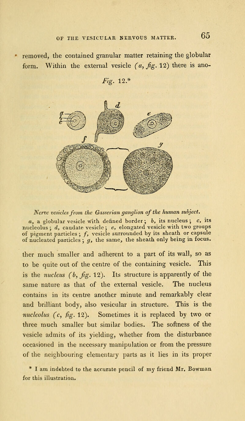 removed, the contained granular matter retaining the globular form. Within the external vesicle (a, Jig. 12) there is ano- Fie. 12* Nerve vesicles from the Gasserian ganglion of the human subject. a, a globular vesicle with defined border; b, its nucleus ; c, its nucleolus ; d, caudate vesicle ; e, elongated vesicle with two groups of pigment particles ; /, vesicle surrounded by its sheath or capsule of nucleated particles ; g, the same, the sheath only being in focus. ther much smaller and adherent to a part of its wall, so as to be quite out of the centre of the containing vesicle. This is the nucleus (b, jig. 12). Its structure is apparently of the same nature as that of the external vesicle. The nucleus contains in its centre another minute and remarkably clear and brilliant body, also vesicular in structure. This is the nucleolus (c, fig. 12). Sometimes it is replaced by two or three much smaller but similar bodies. The softness of the vesicle admits of its yielding, whether from the disturbance occasioned in the necessary manipulation or from the pressure of the neighbouring elementary parts as it lies in its proper * I am indebted to the accurate pencil of my friend Mr. Bowman for this illustration.