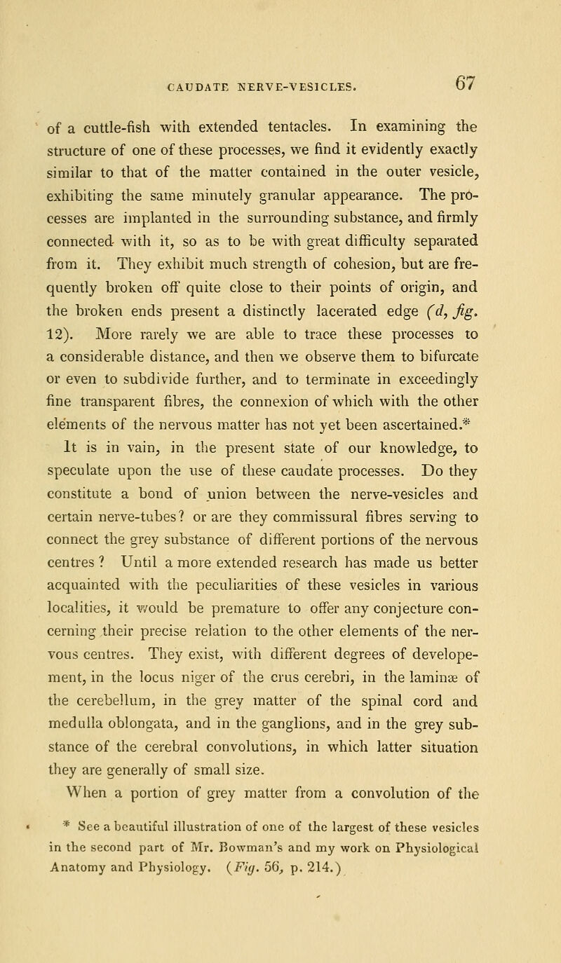 CAUDATE NERVE-VESICLES. of a cuttle-fish with extended tentacles. In examining the structure of one of these processes, we find it evidently exactly similar to that of the matter contained in the outer vesicle, exhibiting the same minutely granular appearance. The pro- cesses are implanted in the surrounding substance, and firmly connected with it, so as to be with great difficulty separated from it. They exhibit much strength of cohesion, but are fre- quently broken off quite close to their points of origin, and the broken ends present a distinctly lacerated edge (d, Jig. 12). More rarely we are able to trace these processes to a considerable distance, and then we observe them to bifurcate or even to subdivide further, and to terminate in exceedingly fine transparent fibres, the connexion of which with the other elements of the nervous matter has not yet been ascertained.* It is in vain, in the present state of our knowledge, to speculate upon the use of these caudate processes. Do they constitute a bond of union between the nerve-vesicles and certain nerve-tubes? or are they commissural fibres serving to connect the grey substance of different portions of the nervous centres ? Until a more extended research has made us better acquainted with the peculiarities of these vesicles in various localities, it would be premature to offer any conjecture con- cerning their precise relation to the other elements of the ner- vous centres. They exist, with different degrees of develope- ment, in the locus niger of the crus cerebri, in the laminae of the cerebellum, in the grey matter of the spinal cord and medulla oblongata, and in the ganglions, and in the grey sub- stance of the cerebral convolutions, in which latter situation they are generally of small size. When a portion of grey matter from a convolution of the * See a beautiful illustration of one of the largest of these vesicles in the second part of Mr. Bowman's and my work on Physiological Anatomy and Physiology. (Fig. 56, p. 214.)