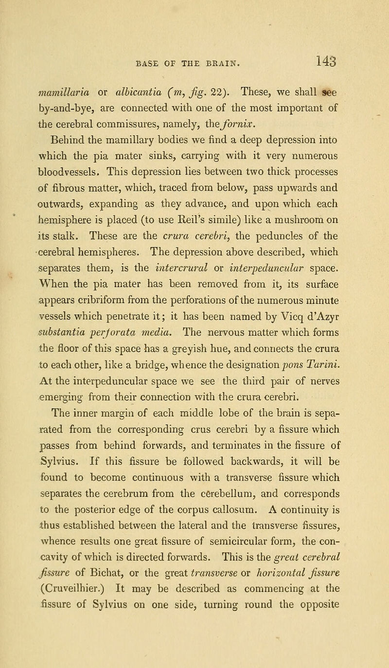 mamillaria or albicantia (m, fig, 22). These, we shall see by-and-bye, are connected with one of the most important of the cerebral commissures, namely, the fornix. Behind the mamillary bodies we find a deep depression into which the pia mater sinks, carrying with it very numerous bloodvessels. This depression lies between two thick processes of fibrous matter, which, traced from below, pass upwards and outwards, expanding as they advance, and upon which each hemisphere is placed (to use Reil's simile) like a mushroom on its stalk. These are the crura cerebri, the peduncles of the cerebral hemispheres. The depression above described, which separates them, is the intercrural or interpeduncular space. When the pia mater has been removed from it, its surface appears cribriform from the perforations of the numerous minute vessels which penetrate it; it has been named by Vicq d'Azyr substantia perforata media. The nervous matter which forms the floor of this space has a greyish hue, and connects the crura to each other, like a bridge, whence the designation pons Tarini. At the interpeduncular space we see the third pair of nerves emerging from their connection with the crura cerebri. The inner margin of each middle lobe of the brain is sepa- rated from the corresponding crus cerebri by a fissure which passes from behind forwards, and terminates in the fissure of Sylvius. If this fissure be followed backwards, it will be found to become continuous with a transverse fissure which separates the cerebrum from the cerebellum, and corresponds to the posterior edge of the corpus callosum. A continuity is thus established between the lateral and the transverse fissures, whence results one great fissure of semicircular form, the con- cavity of which is directed forwards. This is the great cerebral fissure of Bichat, or the great transverse or horizontal fissure (Cruveilhier.) It may be described as commencing at the fissure of Sylvius on one side, turning round the opposite