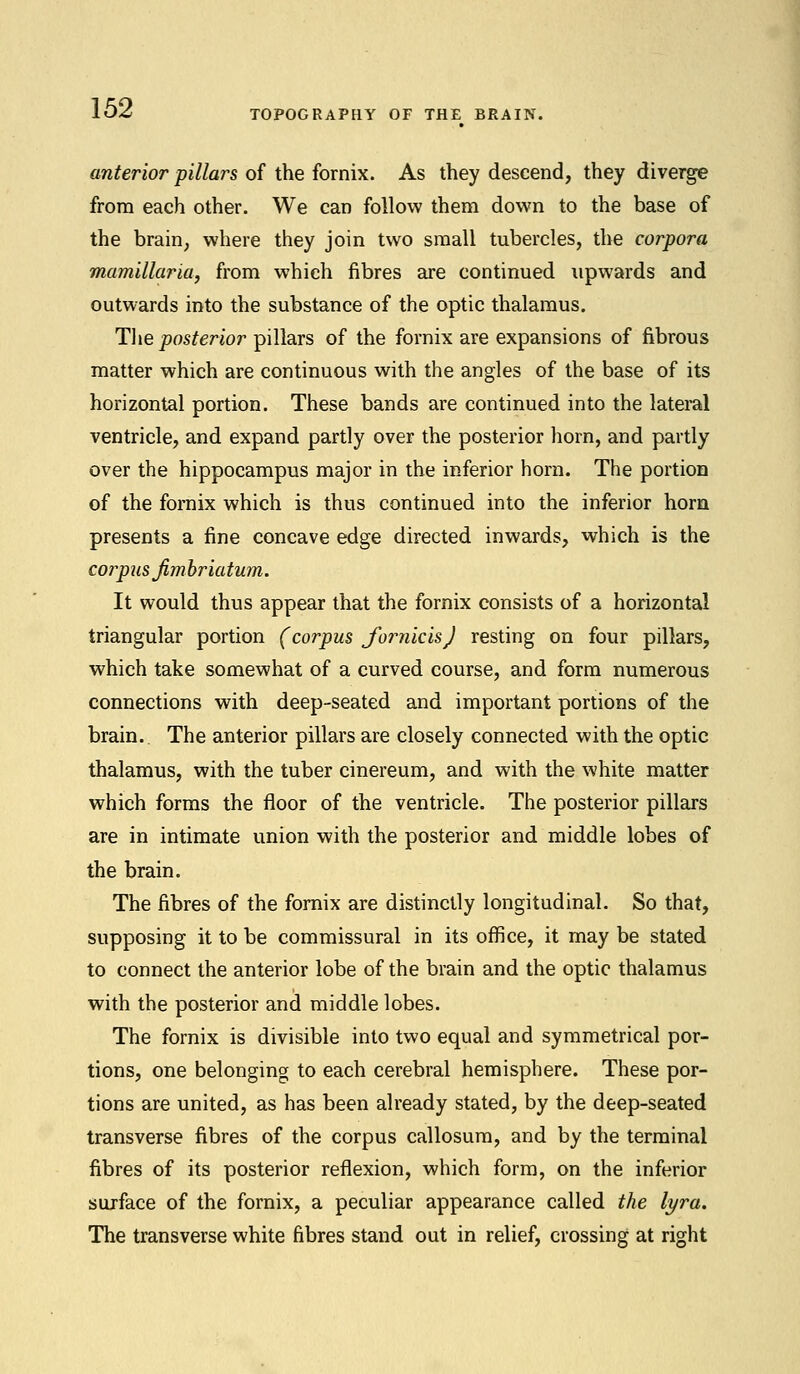 TOPOGRAPHY OF THE BRAIN. anterior pillars of the fornix. As they descend, they diverge from each other. We can follow them down to the base of the brain, where they join two small tubercles, the corpora mamillaria, from which fibres are continued upwards and outwards into the substance of the optic thalamus. The posterior pillars of the fornix are expansions of fibrous matter which are continuous with the angles of the base of its horizontal portion. These bands are continued into the lateral ventricle, and expand partly over the posterior horn, and partly over the hippocampus major in the inferior horn. The portion of the fornix which is thus continued into the inferior horn presents a fine concave edge directed inwards, which is the corpus jimhriatum. It would thus appear that the fornix consists of a horizontal triangular portion (corpus Jornicis) resting on four pillars, which take somewhat of a curved course, and form numerous connections with deep-seated and important portions of the brain. The anterior pillars are closely connected with the optic thalamus, with the tuber cinereum, and with the white matter which forms the floor of the ventricle. The posterior pillars are in intimate union with the posterior and middle lobes of the brain. The fibres of the fornix are distinctly longitudinal. So that, supposing it to be commissural in its office, it may be stated to connect the anterior lobe of the brain and the optic thalamus with the posterior and middle lobes. The fornix is divisible into two equal and symmetrical por- tions, one belonging to each cerebral hemisphere. These por- tions are united, as has been already stated, by the deep-seated transverse fibres of the corpus callosum, and by the terminal fibres of its posterior reflexion, which form, on the inferior surface of the fornix, a peculiar appearance called the lyra. The transverse white fibres stand out in relief, crossing at right