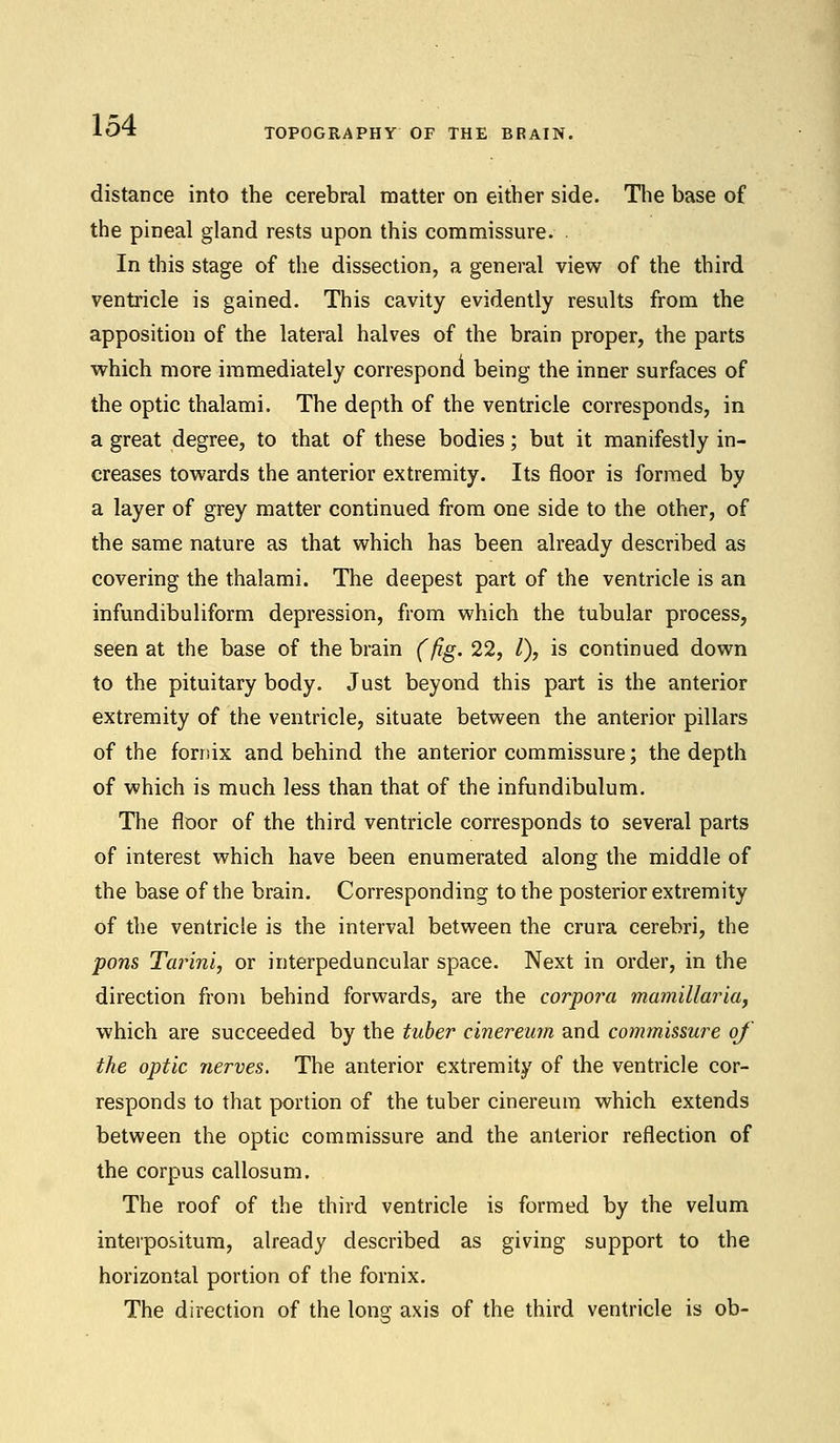 TOPOGRAPHY OF THE BRAIN. distance into the cerebral matter on either side. The base of the pineal gland rests upon this commissure. In this stage of the dissection, a general view of the third ventricle is gained. This cavity evidently results from the apposition of the lateral halves of the brain proper, the parts which more immediately correspond being the inner surfaces of the optic thalami. The depth of the ventricle corresponds, in a great degree, to that of these bodies; but it manifestly in- creases towards the anterior extremity. Its floor is formed by a layer of grey matter continued from one side to the other, of the same nature as that which has been already described as covering the thalami. The deepest part of the ventricle is an infundibuliform depression, from which the tubular process, seen at the base of the brain (fig. 22, /), is continued down to the pituitary body. Just beyond this part is the anterior extremity of the ventricle, situate between the anterior pillars of the fornix and behind the anterior commissure; the depth of which is much less than that of the infundibulum. The floor of the third ventricle corresponds to several parts of interest which have been enumerated along the middle of the base of the brain. Corresponding to the posterior extremity of the ventricle is the interval between the crura cerebri, the pons Tarini, or interpeduncular space. Next in order, in the direction from behind forwards, are the corpora mamillaria, which are succeeded by the tuber cinereum and commissure of the optic nerves. The anterior extremity of the ventricle cor- responds to that portion of the tuber cinereum which extends between the optic commissure and the anterior reflection of the corpus callosum. The roof of the third ventricle is formed by the velum interpositum, already described as giving support to the horizontal portion of the fornix. The direction of the long axis of the third ventricle is ob-