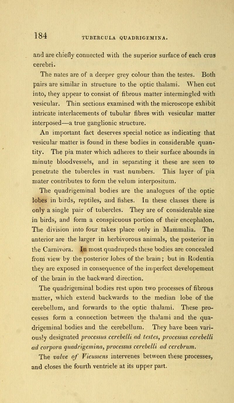 TUBERCULA QUADRIGEMINA. and are chiefly connected with the superior surface of each cms cerebri. The nates are of a deeper grey colour than the testes. Both pairs are similar in structure to the optic thalami. When cut into, they appear to consist of fibrous matter intermingled with vesicular. Thin sections examined with the microscope exhibit intricate interlacements of tubular fibres with vesicular matter interposed—a true ganglionic structure. An important fact deserves special notice as indicating that vesicular matter is found in these bodies in considerable quan- tity. The pia mater which adheres to their surface abounds in minute bloodvessels, and in separating it these are seen to penetrate the tubercles in vast numbers. This layer of pia mater contributes to form the velum interpositum. The quadrigeminal bodies are the analogues of the optic lobes in birds, reptiles, and fishes. In these classes there is only a single pair of tubercles. They are of considerable size in birds, and form a conspicuous portion of their encephalon. The division into four takes place only in Mammalia. The anterior are the larger in herbivorous animals, the posterior in the Carnivora. In most quadrupeds these bodies are concealed from view by the posterior lobes of the brain; but in Rodentia they are exposed in consequence of the imperfect developement of the brain in the backward direction. The quadrigeminal bodies rest upon two processes of fibrous matter, which extend backwards to the median lobe of the cerebellum, and forwards to the optic thalami. These pro- cesses form a connection between the thalami and the qua- drigeminal bodies and the cerebellum. They have been vari- ously designated processus cerebelli ad testes, processes cerebelli ad corpora quadrigemina, processus cerebelli ad cerebrum. The valve of Vieussens intervenes between these processes, and closes the fourth ventricle at its upper part.
