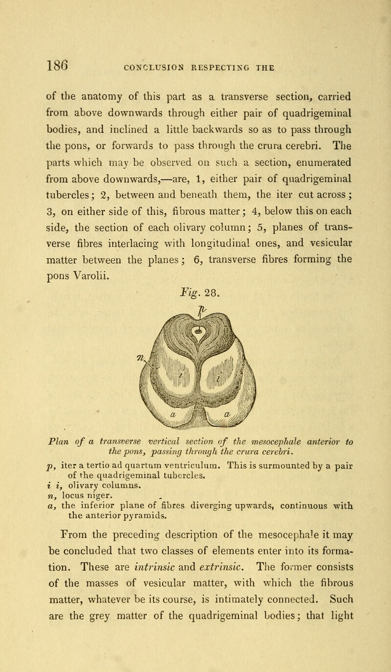 of the anatomy of this part as a transverse section, carried from above downwards through either pair of quadrigeminal bodies, and inclined a little backwards so as to pass through the pons, or forwards to pass through the crura cerebri. The parts which may be observed on such a section, enumerated from above downwards,—are, 1, either pair of quadrigeminal tubercles; 2, between and beneath them, the iter cut across; 3, on either side of this, fibrous matter ; 4, below this on each side, the section of each olivary column; 5, planes of trans- verse fibres interlacing with longitudinal ones, and vesicular matter between the planes; 6, transverse fibres forming the pons Varolii. Fig. 28. Plan of a transverse vertical section of the mesocephale anterior to the pons, passing through the crura cerebri. p, iter a tertio ad quartum ventriculum. This is surmounted by a pair of the quadrigeminal tubercles. i i, olivary columns. n, locus niger. a, the inferior plane of fibres diverging upwards, continuous with the anterior pyramids. From the preceding description of the mesocephale it may be concluded that two classes of elements enter into its forma- tion. These are intrinsic and extrinsic. The former consists of the masses of vesicular matter, with which the fibrous matter, whatever be its course, is intimately connected. Such are the grey matter of the quadrigeminal bodies; that light