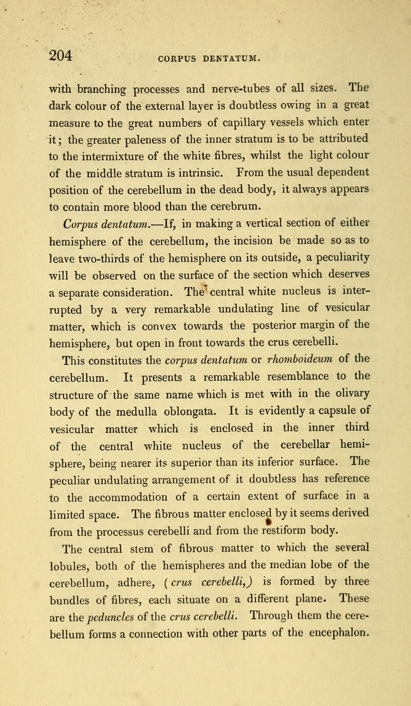 CORPUS DENTATUM. with branching processes and nerve-tubes of all sizes. The dark colour of the external layer is doubtless owing in a great measure to the great numbers of capillary vessels which enter it; the greater paleness of the inner stratum is to be attributed to the intermixture of the white fibres, whilst the light colour of the middle stratum is intrinsic. From the usual dependent position of the cerebellum in the dead body, it always appears to contain more blood than the cerebrum. Corpus dentatum.—If, in making a vertical section of either hemisphere of the cerebellum, the incision be made so as to leave two-thirds of the hemisphere on its outside, a peculiarity will be observed on the surface of the section which deserves a separate consideration. The1 central white nucleus is inter- rupted by a very remarkable undulating line of vesicular matter, which is convex towards the posterior margin of the hemisphere, but open in front towards the crus cerebelli. This constitutes the corpus dentatum or rhomboideum of the cerebellum. It presents a remarkable resemblance to the structure of the same name which is met with in the olivary body of the medulla oblongata. It is evidently a capsule of vesicular matter which is enclosed in the inner third of the central white nucleus of the cerebellar hemi- sphere, being nearer its superior than its inferior surface. The peculiar undulating arrangement of it doubtless has reference to the accommodation of a certain extent of surface in a limited space. The fibrous matter enclosed by it seems derived from the processus cerebelli and from the restiform body. The central stem of fibrous matter to which the several lobules, both of the hemispheres and the median lobe of the cerebellum, adhere, (crus cerebelli,) is formed by three bundles of fibres, each situate on a different plane. These are the peduncles of the crus cerebelli. Through them the cere- bellum forms a connection with other parts of the encephalon.