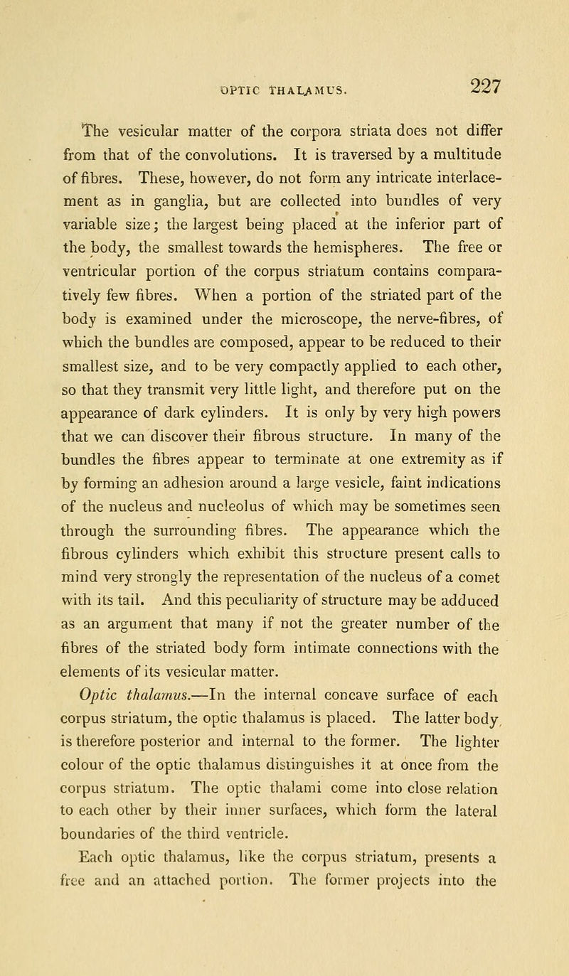 OPTIC THALAMUS. The vesicular matter of the corpora striata does not differ from that of the convolutions. It is traversed by a multitude of fibres. These, however, do not form any intricate interlace- ment as in ganglia, but are collected into bundles of very variable size; the largest being placed at the inferior part of the body, the smallest towards the hemispheres. The free or ventricular portion of the corpus striatum contains compara- tively few fibres. When a portion of the striated part of the body is examined under the microscope, the nerve-fibres, of which the bundles are composed, appear to be reduced to their smallest size, and to be very compactly applied to each other, so that they transmit very little light, and therefore put on the appearance of dark cylinders. It is only by very high powers that we can discover their fibrous structure. In many of the bundles the fibres appear to terminate at one extremity as if by forming an adhesion around a large vesicle, faint indications of the nucleus and nucleolus of which may be sometimes seen through the surrounding fibres. The appearance which the fibrous cylinders which exhibit this structure present calls to mind very strongly the representation of the nucleus of a comet with its tail. And this peculiarity of structure may be adduced as an argument that many if not the greater number of the fibres of the striated body form intimate connections with the elements of its vesicular matter. Optic thalamus.—In the internal concave surface of each corpus striatum, the optic thalamus is placed. The latter body, is therefore posterior and internal to the former. The lighter colour of the optic thalamus distinguishes it at once from the corpus striatum. The optic thai ami come into close relation to each other by their inner surfaces, which form the lateral boundaries of the third ventricle. Each optic thalamus, like the corpus striatum, presents a free and an attached portion. The former projects into the