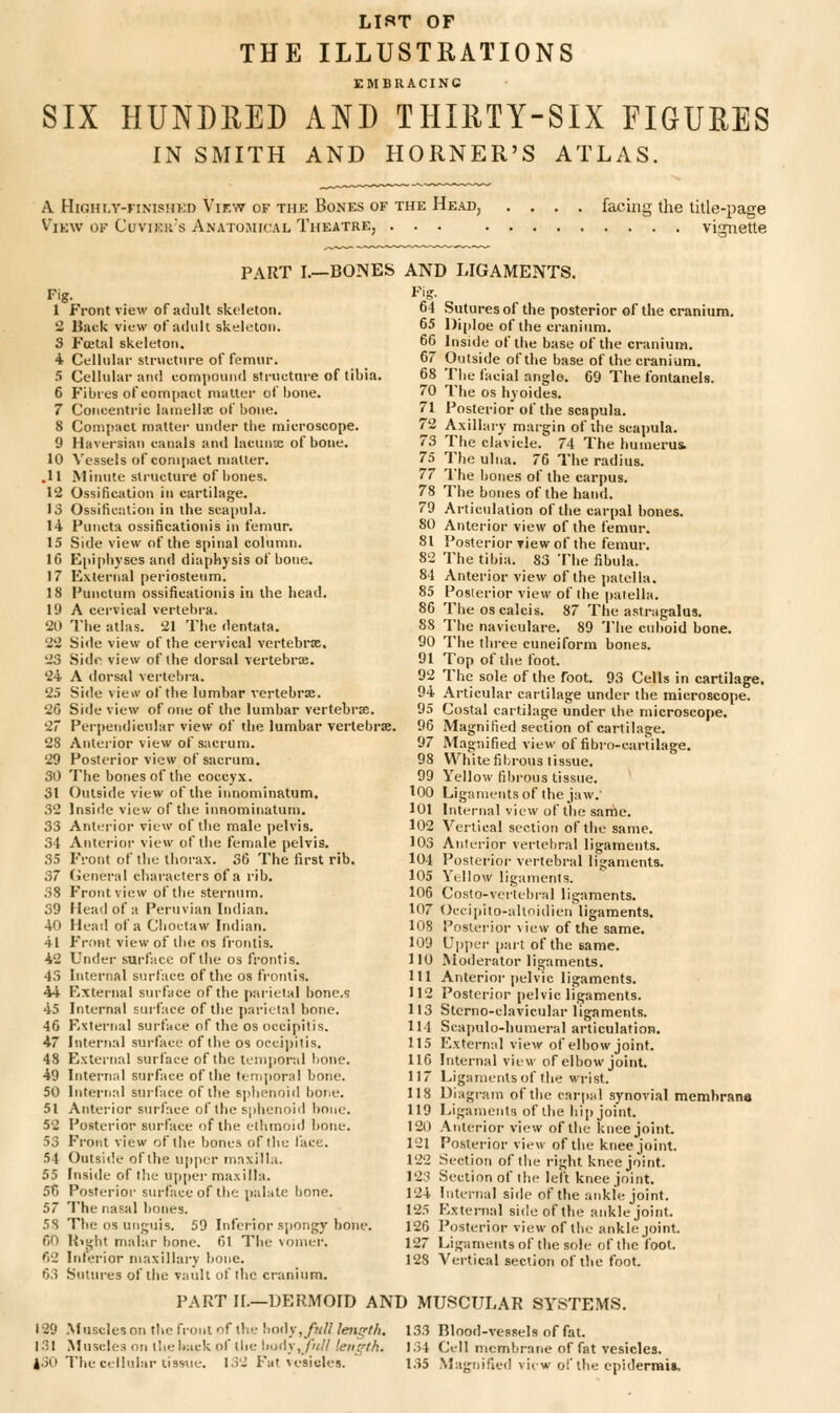 LIST OF THE ILLUSTRATIONS EMBRACING SIX HUNDRED AND THIRTY-SIX FIGURES IN SMITH AND HORNER'S ATLAS. A. HiGHLY-IINISHKD ViEW OF THE BoNES OF THE He.U), V^iKw OF CoviERs Anatojiical Theatre, ... facing the title-page • • • . vimetle PART I.—BONES Fig. 1 Front view of aoult skeleton. 2 Back view of adult skeleton. S Fffital skeleton. 4 Cellular strnctnre of femur. 5 Cellular and compound structure of tibia. 6 Fibres of compact matter oi bone. 7 Concentric lainellic of bone. 8 Compact matter under the microscope. 9 Haversian canals and lacunse of bone. 10 Vessels of compact matter. .11 Minute structure of bones. 12 Ossification in cartilage. 13 Ossification in the scapula. 14 Functa ossificationis in femur. 15 Side view of the spinal column. 16 Epiphyses and diaphjsis of bone. 17 External periosteum. 18 I'uMclurn ossificationis in the Iiead. 19 A cervical vertebra. 2U The atlas. 21 The dentata. 22 Side view of the cervical vertebrse, 23 Side view of the dorsal vertebrx. 24 A dorsal verlebi-a. 2.S Side vieiv of the lumbar vertebrae. 26 Sifle view of one of the lumbar vertebrse. 27 Perpendicular view of the lumbar vertebrse. 28 Antei-ior view of sacrum. 29 Posterior view of sacrum. 30 The bones of the coccyx. 31 Outside view of the innominatum. 32 Inside view of the innominatum, 33 Anterior view of the male pelvis. 34 Anterior view of the female pelvis. 35 Front of the thorax. 36 The first rib. 37 (ieneral chai'acters of a rib. 38 Front view of the sternum. 39 Head of a Peruvian Indian. 40 Head of a Choctaw Indian. 41 Frtmt view of the ns frontis. 42 Under surface of the os frontis. 43 Internal surface of the os frontis. 44 External siu-face of the parietal bones 45 Internal sm-face of the parietal bone. 46 Exterrial surface of the os occipitis. 47 Internal surface of the os occii)itis. 48 External surface of the leniitoral bone. 49 Internal siu-face of the temporal bone. 50 Internal surface of the sjjhenoiil boiie. 51 Anterior surface of the sphenoid bone. 52 Posterior surface of the ethmoid bone. 53 Front view of the bones of flie face. 54 Outside of the u[)j)er maxilla. 55 Inside of tlie uppei- maxilla. 56 Posterior surface of the palate bone. 57 The nasal bones. 58 The os unguis. 59 Interior spongy bo)u*. 60 Uis^ht malar bone. 61 The vomer. 62 Interior maxillary bone. 63 Sutures of the vault of the cranium. AND LIGAMENTS. Fig. 64 Sutures of the posterior of the cranium. 65 Diploe of the cranium. 66 Inside of the base of the cranium. 67 Outside of the base of the cranium. 68 The facial angle. 69 The fontanels. 70 The OS hyoides. 71 Posterior of the scapula. 72 Axillary margin of the scajyula. 73 The clavicle. 74 The humerus. 75 The ulna, 76 The radius. 77 The bones of the carpus. 78 The bones of the hand. 79 Articulation of the carpal bones. 80 Anterior view of the femur. 81 Posterior yiew of the femur. 82 The tibia. 83 The fibula. 84 Anterior view of the patella. 85 Posterior view of the patella. 86 Theoscalcis. 87 The astragalus. 88 The naviculare. 89 The cuboid bone. 90 The three cuneiform bones. 91 Top of the foot. 92 The sole of the foot. 93 Cells in cartilage. 94 Articular cartilage under the microscope. 95 Costal cartilage under the microscope. 96 Magnified section of cartilage. 97 Magnified view of iibi'o-cariilage, 98 White fibrous tissue. 99 Yellow fibrous tissue. 100 Ligaments of the jaw.' 101 Internal view of the same. 102 Vertical section of the same. 103 Anterior vertebral ligaments. 104 Posterior vertebral ligaments. 105 Yellow ligaments. 105 Costo-vertebral ligaments. 107 Occi[)ito-altnidien ligaments. 108 Posiei-ior ^iew of the same. 109 U|)i)er part of the same. 110 Moderator ligaments. 111 Anterior pelvic ligaments, 112 Posterior pelvic ligaments. 113 Sterno-clavicular ligaments. 114 Scapulo-humeral articulation. 115 External view of elbow joint. 116 Internal view of elbow joint. 117 Ligaments of tlie wrist. 118 Diagram of the carpal synovial memhrana 119 Ligaments of the hip joint. 120 Anterior view of the knee joint. 121 Posterior view of the knee joint. 122 Section of the right knee joint. 12.3 Section of the leit knee joint. 124 Internal side of the ankle joint. 125 F.xternal side of the ankle joint. 126 Posterior view of the ankle joint. 127 Ligaments of the sole of the foot. 128 Vertical section of the foot. PART IL—DERMOID AND MUSCULAR SYSTEMS. 129 .Muscles on the front of the body,/)/// lemrth, 131 Muscles on the back of the \>o(\\,fit/l leii^fth. 4.30 The cellular tissue. 132 Fat vesicles. 133 Blood-vessels of fat. 134 Cell membrane of fat vesicles. 135 Magnified viiw oi'the cpiderraia.