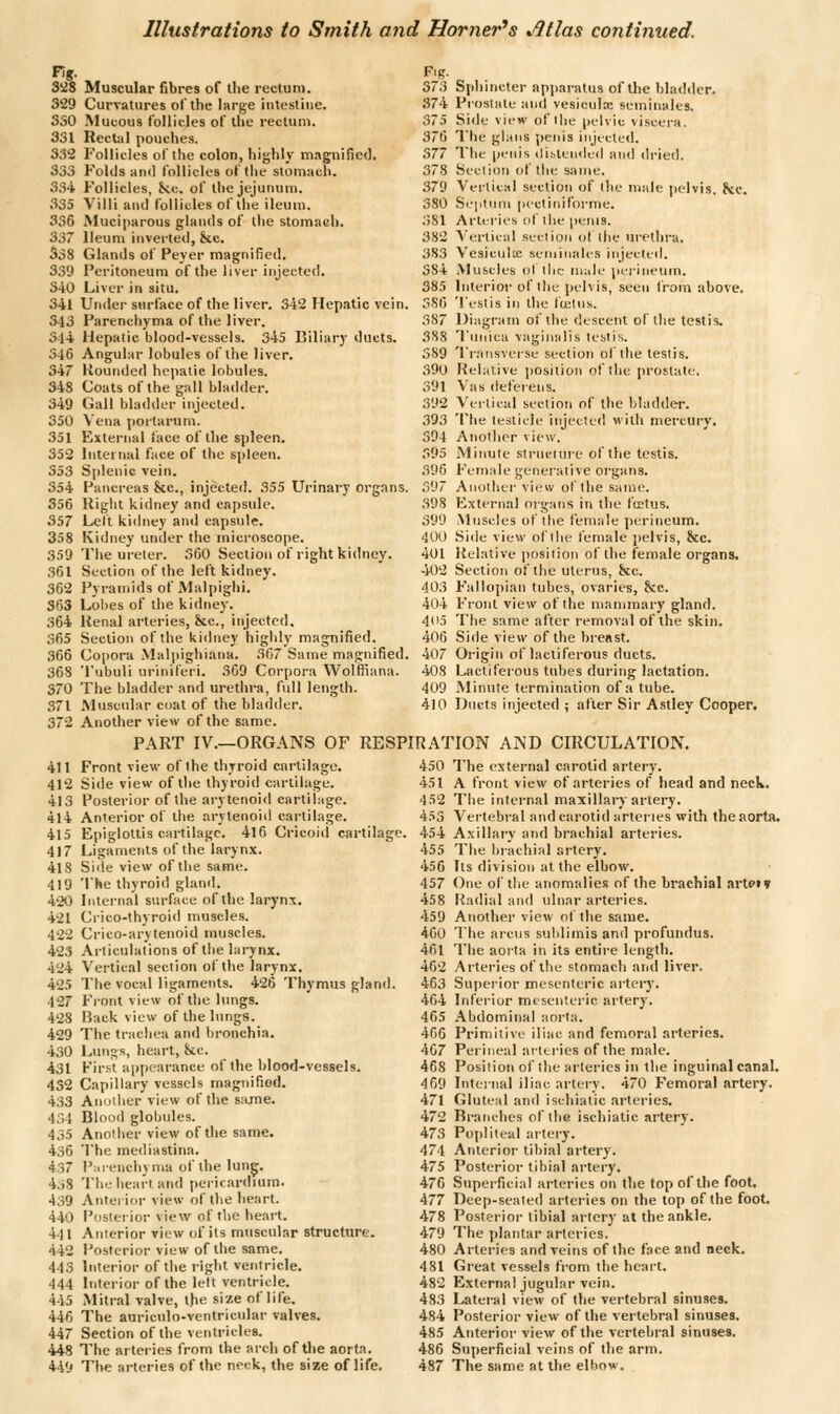 Fig. 37,3 874 3'28 Muscular fibres of the rectum. 329 Curvatures of the large intestine. SSO Mucous follicles of the rectum. S'S 331 Rectal pouches. 37() 332 Follicles of the colon, highly magnified. 377 333 Folds and follicles of the stomach. 378 334 Follicles, kc. of the jejunum. 379 335 Villi and follicles of the ileum. 380 336 Muciparous glands of the stomach. 381 337 Ileum inverted, 8tc. 382 538 Glands of Peyer magnified. 383 339 Peritoneum of tlie liver injected. 384 340 Liver in situ. 385 341 Under surface of the liver. 342 Hepatic vein. 386 343 Parenchyma of the liver. 387 3l4 Hepatic blood-vessels. 345 Biliary ducts. 388 3-16 Angular lobules of the liver. 389 347 Rounded hepatic lobules. 390 348 Coats of the gall bladder. 391 349 Gall bladder injected. 392 350 Vena portarum. 393 351 External face of the spleen. 394 352 Internal face of tlie spleen. 395 353 Splenic vein. 396 354 Pancreas &c., injecte<l. 355 Urinary organs. 397 356 Riglit kidney and capsule. 398 357 Left kidney and capsule. 399 358 Kidney under the microscope. 400 359 The ureter. 360 Section of right kidney. 401 361 Section of the left kidney.  402 362 Pyramids of Malpighi. 403 363 Lobes of tlie kidney. 404 364 Itenal arteries, &c., injected. 405 365 Section of the kidney highly magnified. 406 366 Copora Mali>ighiana. 367 Same magnified. 407 368 'I'ubuli urinifeVi. 369 Corpora Wolffiana. 408 370 The bladder and urethra, full length. 409 371 Muscular coat of the bladder. 410 372 Another view of the same. PART IV.—ORGANS OF RESPIRAT 411 Front view of the thyroid curtilage. 450 412 Side view of the thyroid cartilage. 451 413 Posterior of the arytenoid cartilage. 452 414 Anterior of tlie arytenoid cartilage. 453 415 Epiglottis cartilage. 4l6 Cricoid cartilage. 454 417 Ligamerits of the larynx. 455 418 Side view of the same. 456 419 The thyroid glanrl. 457 420 Internal surface of the larynx. 458 421 Crico-thyroid muscles. 459 422 Crico-arytenoid muscles. 460 423 Articulations of tiie larynx. 461 424 Vertical section of the larynx, 462 425 The vocal ligaments. 426 Thymus gland. 463 427 Front view of the lungs. 464 428 Back view of the lungs. 465 429 The trachea and bronchia, 466 430 Lungs, heart, kc. 407 431 First appearance of the hlood-vessels. 468 432 Capillary vessels magnified. 469 433 Anotlier view of the s:une. 471 434 Blood globules. 472 435 Another view of the same. 473 436 The mediastina. 474 437 P:iienchyma of the lung. 475 4.)8 The heai't and pericardium. 476 439 Anterior view of the heart. 477 440 Posterior view of the heart. 478 441 Anterior view of its muscular structure. 479 442 Posterior view of the same. 480 443 Interior of the right ventricle. 481 444 Interior of the left ventricle. 482 445 Mitral valve, the size of life. 483 446 The auriculo-ventricular valves. 484 447 Section of the ventricles. 485 448 The arteries from the arch of the aorta. 486 449 The arteries of the neck, the size of life. 487 Sphincter ap])aratus of tlic bladder. Proslale and vesiculoc seminales. Side view of tlic pelvie \isccrH. The glans penis injected. The penis distended and dried. Section of the same. Vertical section of the male |)elvis, kc. Seiitnm pcctiniforme. Arteries of the penis. ^ertical section o( the urethra. VesicuUe seniiiiales injected. Muscles ot the iiKile pci-inetim. Interior of the pelvis, seen from above. Testis ill the liclns. Diagram of tlie descent of the testis. Titnica vaginalis testis. Transverse section of the testis. Relative position of the prostate. Vas deferens. Veilical section of the bladder. The testicle injected with mercury. Another view. Minute structure of the testis. Female generative organs. Another view of the same. External organs in the foetus. Muscles of the female ])erineum. Side view of the female pelvis, &c. Relative position of the female organs. Section of the uterus, h.c. Fallopian tubes, ovaries, &c. Front view of the mammary gland. The same after removal of the skin. Side view of the breast. Origin of lactiferous ducts. Lactiferous tubes during lactation, .Minute termination of a tube. Ducts injected ; after Sir Astley Cooper. ION AND CIRCULATION. The external carotid artery. A front view of arteries of head and neck. The internal maxillary artery. Vertebral and carotid arteries with the aorta. Axillary and brachial arteries. The brachial artery. Its division at the elbow. One of the anomalies of the brachial artpiy Radial and ulnar arteries. Another view of the same. The arcns sublimisand profundus. The aorta in its entire length. Arteries of the stomach and liver. Superior mesenteric artery. Inferior mesenteric artery. Abdominal aorta. Primitive iliac and femoral arteries. Perineal atttries of the male. Position of the arteries in the inguinal canal. Internal iliac artery. 470 Femoral artery. Gluteal and ischiatic arteries. Branches of the ischiatic artery. Popliteal artery. Anterior tibial artery. Posterior tibial artery. Superficial arteries on the fop of the foot. Deep-seated arteries on the top of the foot. Posterior tibial artery at the ankle. The ])lantar arteries. Arteries and veins of the face and neck. Great vessels from the heart. External jugular vein. Lateral view of the vertebral sinuses. Posterior view of the vertebral sinuses. Anterior view of the vertebral sinuses. Superficial veins of the arm. The same at the elbow.