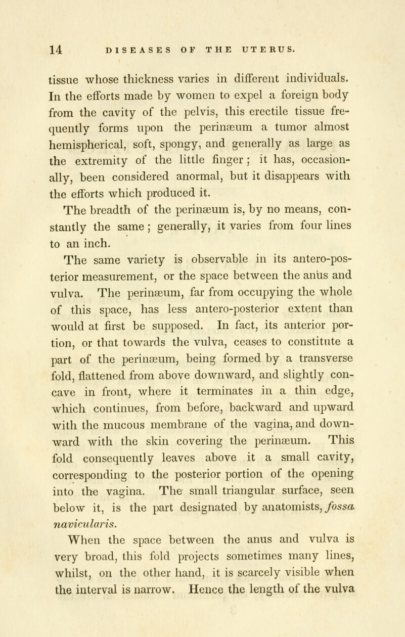 tissue whose thickness varies in different individuals. In the efforts made by women to expel a foreign body from the cavity of the pelvis, this erectile tissue fre- quently forms upon the perinasum a tumor almost hemispherical, soft, spongy, and generally as large as the extremity of the little finger; it has, occasion- ally, been considered anormal, but it disappears with the efforts which produced it. The breadth of the perinseum is, by no means, con- stantly the same; generally, it varies from four lines to an inch. The same variety is observable in its antero-pos- terior measurement, or the space between the aniis and vulva. The perinseum, far from occupying the whole of this space, has less antero-posterior extent than would at first be supposed. In fact, its anterior por- tion, or that towards the vulva, ceases to constitute a part of the perinaeum, being formed by a transverse fold, flattened from above downward, and slightly con- cave in front, where it terminates in a thin edge, which continues, from before, backward and upward with the mucous membrane of the vagina, and down- ward with the skin covering the perinseum. This fold consequently leaves above it a small cavity, corresponding to the posterior portion of the opening into the vagina. The small triangular surface, seen below it, is the part designated by anatomists,/ossa 7iavicularis. When the space between the anus and vulva is very broad, this fold projects sometimes many lines, whilst, on the other hand, it is scarcely visible when the interval is narrow. Hence the length of the vulva