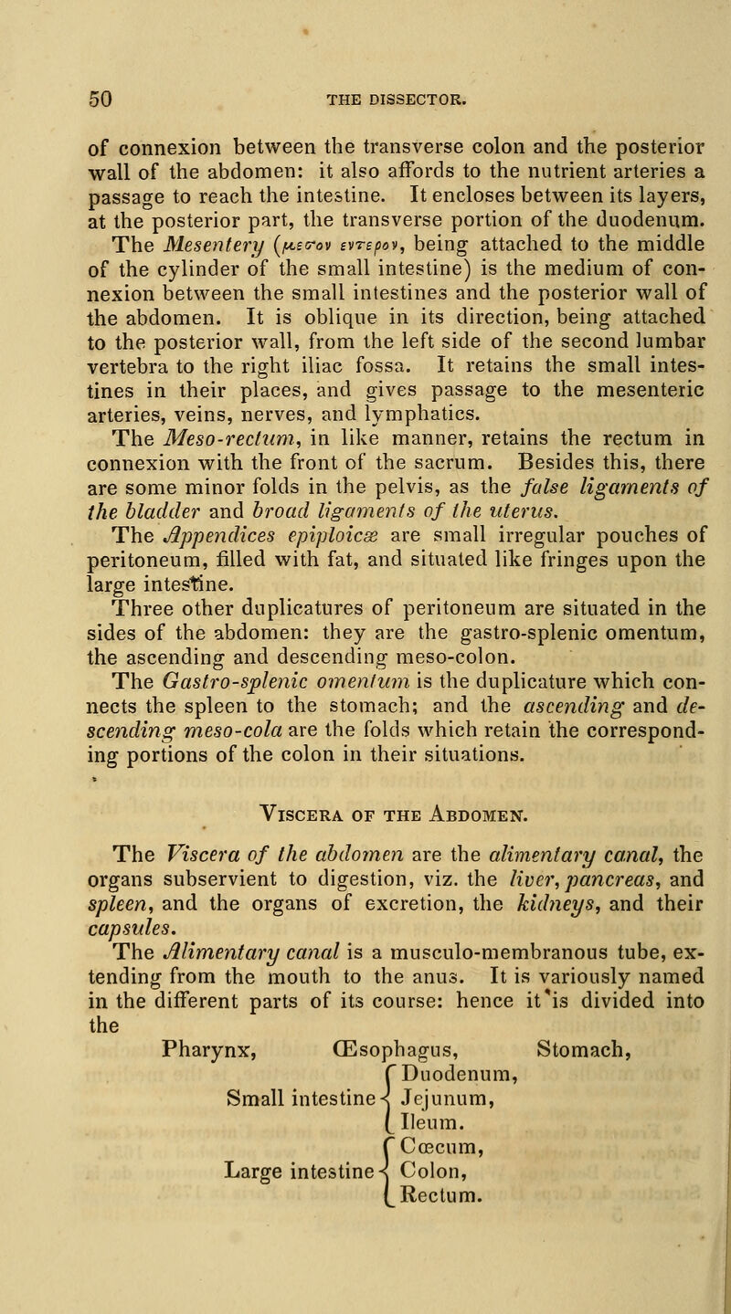 of connexion between the transverse colon and the posterior wall of the abdomen: it also affords to the nutrient arteries a passage to reach the intestine. It encloses between its layers, at the posterior part, the transverse portion of the duodenum. The Mesentery (^eo-ov evrepov, being attached to the middle of the cylinder of the small intestine) is the medium of con- nexion between the small intestines and the posterior wall of the abdomen. It is oblique in its direction, being attached to the posterior wall, from the left side of the second lumbar vertebra to the right iliac fossa. It retains the small intes- tines in their places, and gives passage to the mesenteric arteries, veins, nerves, and lymphatics. The Meso-rectum, in like manner, retains the rectum in connexion with the front of the sacrum. Besides this, there are some minor folds in the pelvis, as the false ligaments of the bladder and broad ligaments of the uterus. The Appendices epiploic^ are small irregular pouches of peritoneum, filled with fat, and situated like fringes upon the large intestine. Three other duplicatures of peritoneum are situated in the sides of the abdomen: they are the gastro-splenic omentum, the ascending and descending meso-colon. The Gastro-splenic omentum is the duplicative which con- nects the spleen to the stomach; and the ascending and de- scending meso-cola are the folds which retain the correspond- ing portions of the colon in their situations. Viscera of the Abdomen. The Viscera of the abdomen are the alimentary canal, the organs subservient to digestion, viz. the liver, pancreas, and spleen, and the organs of excretion, the kidneys, and their capsules. The Alimentary canal is a musculo-membranous tube, ex- tending from the mouth to the anus. It is variously named in the different parts of its course: hence it*is divided into the Pharynx, (Esophagus, Stomach, f Duodenum, Small intestine «j Jejunum, (^ Ileum. fCcecum, Large intestines Colon, (^Rectum.