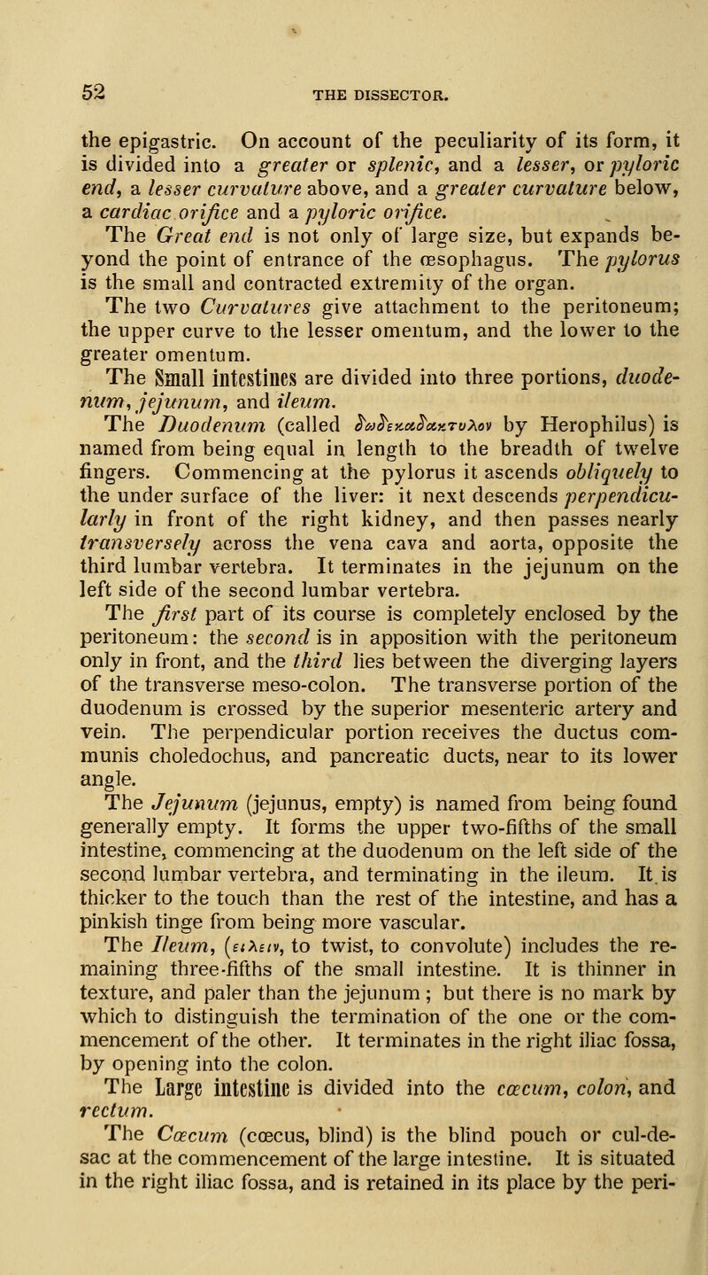 the epigastric. On account of the peculiarity of its form, it is divided into a greater or splenic, and a lesser, or pyloric end, a lesser curvature above, and a greater curvature below, a cardiac orifice and a pyloric orifice. The Great end is not only of large size, but expands be- yond the point of entrance of the oesophagus. The pylorus is the small and contracted extremity of the organ. The two Curvatures give attachment to the peritoneum; the upper curve to the lesser omentum, and the lower to the greater omentum. The Small intestines are divided into three portions, duode- num, jejunum, and ileum. The Duodenum (called frahxud'ot.r.TvXov by Herophilus) is named from being equal in length to the breadth of twelve fingers. Commencing at the pylorus it ascends obliquely to the under surface of the liver: it next descends perpendicu- larly in front of the right kidney, and then passes nearly transversely across the vena cava and aorta, opposite the third lumbar vertebra. It terminates in the jejunum on the left side of the second lumbar vertebra. The first part of its course is completely enclosed by the peritoneum: the second is in apposition with the peritoneum only in front, and the third lies between the diverging layers of the transverse meso-colon. The transverse portion of the duodenum is crossed by the superior mesenteric artery and vein. The perpendicular portion receives the ductus com- munis choledochus, and pancreatic ducts, near to its lower angle. The Jejunum (jejunus, empty) is named from being found generally empty. It forms the upper two-fifths of the small intestine, commencing at the duodenum on the left side of the second lumbar vertebra, and terminating in the ileum. It. is thicker to the touch than the rest of the intestine, and has a pinkish tinge from being more vascular. The Ileum, (etXttv, to twist, to convolute) includes the re- maining three-fifths of the small intestine. It is thinner in texture, and paler than the jejunum ; but there is no mark by which to distinguish the termination of the one or the com- mencement of the other. It terminates in the right iliac fossa, by opening into the colon. The Large intestine is divided into the ccecum, colon, and rectum. The Caecum (coecus, blind) is the blind pouch or cul-de- sac at the commencement of the large intestine. It is situated in the right iliac fossa, and is retained in its place by the peri-