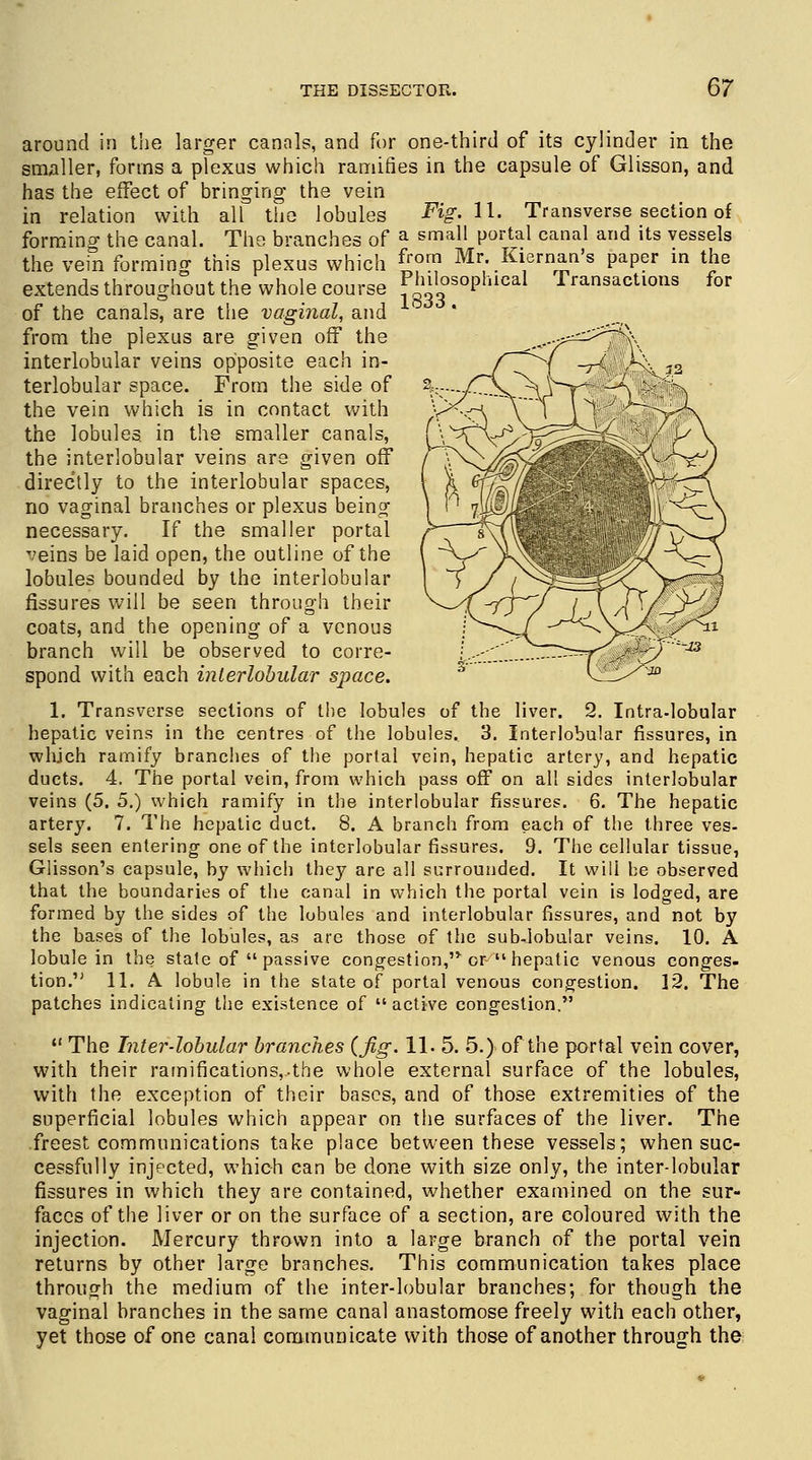 Philosophical 1833. Transactions for around in the larger canals, and for one-third of its cylinder in the smaller, forms a plexus which ramifies in the capsule of Glisson, and has the effect of bringing the vein in relation with all the lobules Fig. 11. Transverse section of formino- the canal. The branches of a sma11 Portal canal and its vessels the vein forming this plexus which £;™_^;:Berni^l.?aJ!f!^n a! extends throughout the whole course of the canals, are the vaginal, and from the plexus are given off the interlobular veins opposite each in- terlobular space. From the side of the vein which is in contact with the lobules, in the smaller canals, the interlobular veins are given off directly to the interlobular spaces, no vaginal branches or plexus being necessary. If the smaller portal T/eins be laid open, the outline of the lobules bounded by the interlobular fissures will be seen through their coats, and the opening of a venous branch will be observed to corre- spond with each interlobular space. 1. Transverse sections of the lobules of the liver. 2. Intra-lobular hepatic veins in the centres of the lobules. 3. Interlobular fissures, in which ramify branches of the portal vein, hepatic artery, and hepatic ducts. 4. The portal vein, from which pass off on all sides interlobular veins (5. 5.) which ramify in the interlobular fissures. 6. The hepatic artery. 7. The hepatic duct. 8. A branch from each of the three ves- sels seen entering one of the interlobular fissures. 9. The cellular tissue, Glisson's capsule, by which they are all surrounded. It will be observed that the boundaries of the canal in which the portal vein is lodged, are formed by the sides of the lobules and interlobular fissures, and not by the bases of the lobules, as are those of the sub-Iobular veins. 10. A lobule in the stale of  passive congestion, or  hepatic venous conges- tion. 11. A lobule in the state of portal venous congestion. 12. The patches indicating the existence of  active congestion.  The Inter-lobular branches (fig. 11. 5. 5.) of the portal vein cover, with their ramifications,-the whole external surface of the lobules, with the exception of their bases, and of those extremities of the superficial lobules which appear on the surfaces of the liver. The freest communications take place between these vessels; when suc- cessfully injected, which can be done with size only, the interlobular fissures in which they are contained, whether examined on the sur- faces of the liver or on the surface of a section, are coloured with the injection. Mercury thrown into a large branch of the portal vein returns by other large branches. This communication takes place through the medium of the inter-lobular branches; for though the vaginal branches in the same canal anastomose freely with each other, yet those of one canal communicate with those of another through the