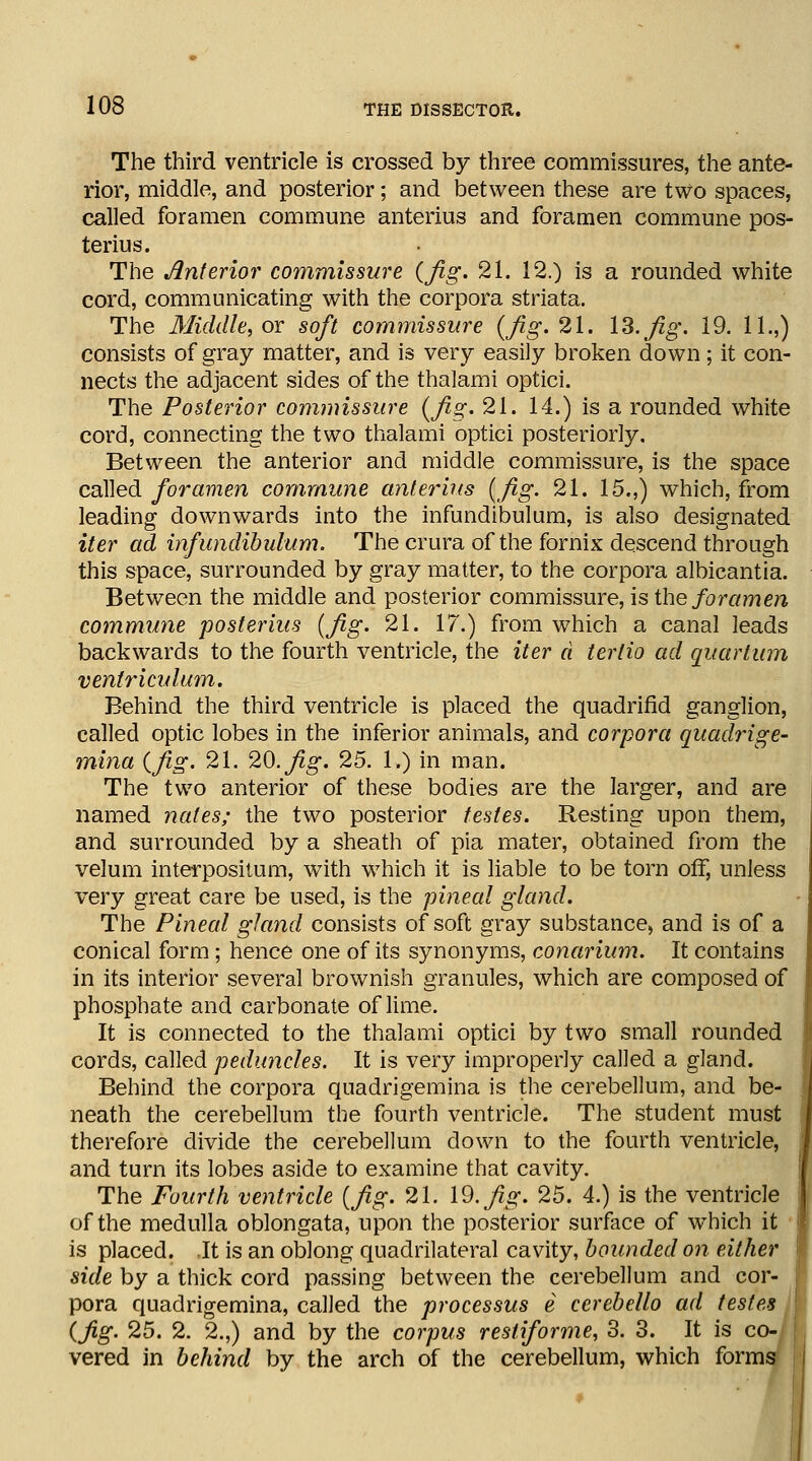 The third ventricle is crossed by three commissures, the ante- rior, middle, and posterior; and between these are two spaces, called foramen commune anterius and foramen commune pos- terius. The Anterior commissure {fig. 21. 12.) is a rounded white cord, communicating with the corpora striata. The Middle, or soft commissure {fig. 21. Id. fig. 19. 11.,) consists of gray matter, and is very easily broken down; it con- nects the adjacent sides of the thalami optici. The Posterior commissure {fig. 21. 14.) is a rounded white cord, connecting the two thalami optici posteriorly. Between the anterior and middle commissure, is the space called foramen commune anterius {fig. 21. 15.,) which, from leading downwards into the infundibulum, is also designated iter ad infundibulum. The crura of the fornix descend through this space, surrounded by gray matter, to the corpora albicantia. Between the middle and posterior commissure, is the foramen commune poster his {fig. 21. 17.) from which a canal leads backwards to the fourth ventricle, the iter d tertio ad quartum ventriculum. Behind the third ventricle is placed the quadrifld ganglion, called optic lobes in the inferior animals, and corpora quadrige- mina {fig. 21. 20. fig. 25. 1.) in man. The two anterior of these bodies are the larger, and are named nates; the two posterior testes. Resting upon them, and surrounded by a sheath of pia mater, obtained from the velum interpositum, with which it is liable to be torn off, unless very great care be used, is the pineal gland. The Pineal gland consists of soft gray substance, and is of a conical form; hence one of its synonyms, conarium. It contains in its interior several brownish granules, which are composed of phosphate and carbonate of lime. It is connected to the thalami optici by two small rounded cords, called peduncles. It is very improperly called a gland. Behind the corpora quadrigemina is the cerebellum, and be- neath the cerebellum the fourth ventricle. The student must therefore divide the cerebellum down to the fourth ventricle, and turn its lobes aside to examine that cavity. The Fourth ventricle {fig. 21. 19. fig. 25. 4.) is the ventricle of the medulla oblongata, upon the posterior surface of wiiich it is placed. It is an oblong quadrilateral cavity, bounded on either side by a thick cord passing between the cerebellum and cor- pora quadrigemina, called the processus e cerebello ad testes {Jig. 25. 2. 2.,) and by the corpus restiforme, 3. 3. It is co-/ j vered in behind by the arch of the cerebellum, which forms