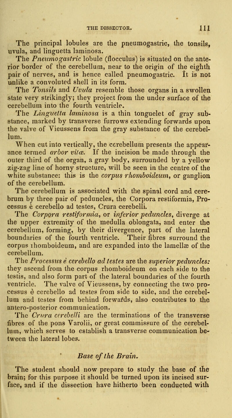 The principal lobules are the pneumogastrie, the tonsils, uvula, and linguetta laminosa. The Pneumogastrie lobule (flocculus) is situated on the ante- rior border of the cerebellum, near to the origin of the eighth, pair of nerves, and is hence called pneumogastrie. It is not unlike a convoluted shell in its form. The Tonsils and Uvula resemble those organs in a swollen, state very strikingly; they project from the under surface of the cerebellum into the fourth ventricle. The Linguetta laminosa is a thin tonguelet of gray sub- stance, marked by transverse furrows extending forwards upon the valve of Vieussens from the gray substance of the cerebel- lum. When cut into vertically, the cerebellum presents the appear- ance termed arbor vilce. If the incision be made through the outer third of the organ, a gray body, surrounded by a yellow zig-zag line of horny structure, will be seen in the centre of the white substance: this is the corpus rhomboideum, or ganglion of the cerebellum. The cerebellum is associated with the spinal cord and cere- brum by three pair of peduncles, the Corpora restiformia, Pro- cessus e cerebello ad testes, Crura cerebelli. The Corpora restiformia, or inferior peduncles, diverge at the upper extremity of the medulla oblongata, and enter the cerebellum, forming, by their divergence, part of the lateral boundaries of the fourth ventricle. Their fibres surround the corpus ihomboideum, and are expanded into the lamellae of the cerebellum. The Processus e cerebello ad testes are the superior peduncles: they ascend from the corpus rhomboideum on each side to the testis, and also form part of the lateral boundaries of the fourth ventricle. The valve of Vieussens, by connecting the two pro- cessus e cerebello ad testes from side to side, and the cerebel- lum and testes from behind forwards, also contributes to the antero-posterior communication. The Crura cerebelli are the terminations of the transverse fibres of the pons Varolii, or great commissure of the cerebel- lum, which serves to establish a transverse communication be- tween the lateral lobes. Base of the Brain. The student should now prepare to study the base of the brain; for this purpose it should be turned upon its incised sur- face, and if the dissection have hitherto been conducted with