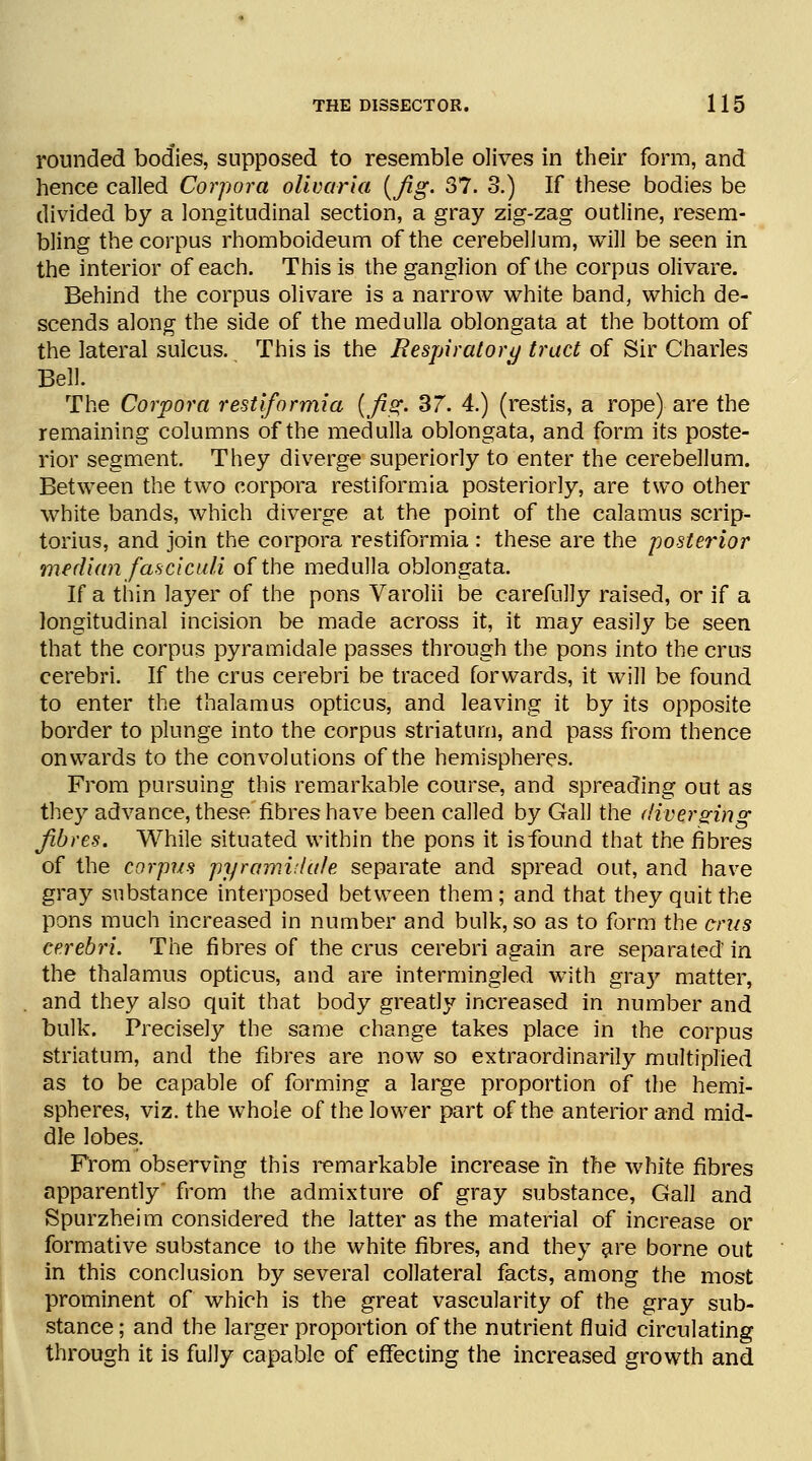 rounded bodies, supposed to resemble olives in their form, and hence called Corpora olivaria (fig- 37. 3.) If these bodies be divided by a longitudinal section, a gray zig-zag outline, resem- bling the corpus rhomboideum of the cerebellum, will be seen in the interior of each. This is the ganglion of the corpus olivare. Behind the corpus olivare is a narrow white band, which de- scends along the side of the medulla oblongata at the bottom of the lateral sulcus. This is the Respiratory tract of Sir Charles Bell. The Corpora restiformia (fig. 37. 4.) (restis, a rope) are the remaining columns of the medulla oblongata, and form its poste- rior segment. They diverge superiorly to enter the cerebellum. Between the two corpora restiformia posteriorly, are two other white bands, which diverge at the point of the calamus scrip- torius, and join the corpora restiformia : these are the posterior median fasciculi of the medulla oblongata. If a thin layer of the pons Varolii be carefully raised, or if a longitudinal incision be made across it, it may easily be seen that the corpus pyramidale passes through the pons into the eras cerebri. If the crus cerebri be traced forwards, it will be found to enter the thalamus opticus, and leaving it by its opposite border to plunge into the corpus striatum, and pass from thence onwards to the convolutions of the hemispheres. From pursuing this remarkable course, and spreading out as they advance, these fibres have been called by Gall the diverging fibres. While situated within the pons it is found that the fibres of the corpus pyramidale separate and spread out, and have gray substance interposed between them; and that they quit the pons much increased in number and bulk, so as to form the cms cerebri. The fibres of the crus cerebri again are separated in the thalamus opticus, and are intermingled with gra}' matter, and they also quit that body greatly increased in number and bulk. Precisely the same change takes place in the corpus striatum, and the fibres are now so extraordinarily multiplied as to be capable of forming a large proportion of the hemi- spheres, viz. the whole of the lower part of the anterior and mid- dle lobes. From observing this remarkable increase in the white fibres apparently from the admixture of gray substance, Gall and Spurzheim considered the latter as the material of increase or formative substance to the white fibres, and they are borne out in this conclusion by several collateral facts, among the most prominent of which is the great vascularity of the gray sub- stance; and the larger proportion of the nutrient fluid circulating through it is fully capable of effecting the increased growth and