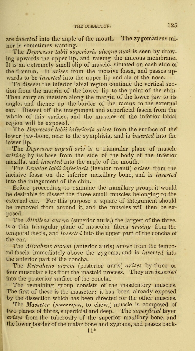 are inserted into the angle of the mouth. The zygomaticus mi- nor is sometimes wanting. The Depressor labii snperioris alseque nasi is seen by draw- ing upwards the upper lip, and raising the mucous membrane. It is an extremely small slip of muscle, situated on each side of the fraenum. It arises from the incisive fossa, and passes up- wards to be inserted into the upper lip and ala of the nose. To dissect the inferior labial region continue the vertical sec- tion from the margin of the lower lip to the point of the chin. Then carry an incision along the margin of the lower jaw to its angle, and thence up the border of the ramus to the external ear. Dissect off the integument and superficial fascia from the whole of this surface, and the muscles of the inferior labial region will be exposed. The Depressor labii inferioris arises from the surface of the lower jaw-bone, near to the symphisis, and is inserted into the lower lip. The Depressor anguli oris is a triangular plane of muscle arising by its base from the side of the body of the inferior maxilla, and inserted into the angle of the mouth. The Levator labii inferioris (levator menti) arises from the incisive fossa on the inferior maxillary bone, and is inserted into the integument of the chin. Before proceeding to examine the maxillary group, it would be desirable to dissect the three small muscles belonging to the external ear. For this purpose a square of integument should be removed from around it, and the muscles will then be ex- posed. The Attollens our em (superior auris,) the largest of the three, is a thin triangular plane of muscular fibres arising from the temporal fascia, and inserted into the upper part of the concha of the ear. The Atirahens aurem (anterior auris) arises from the tempo- ral fascia immediately above the zygoma, and is inserted into the anterior part of the concha. The Retraliens aurem (posterior auris) arises by three or four muscular slips from the mastoid process. They are inserted into the posterior surface of the concha. The remaining group consists of the masticatory muscles. The first of these is the masseter: it has been already exposed by the dissection which has been directed for the other muscles. The Masseter (fAottnr&ofitoct, to chew,) muscle is composed of two planes of fibres, superficial and deep. The superficial layer arises from the tuberosity of the superior maxillary bone, and the lower border of the malar bone and zygoma, and passes back- 11*