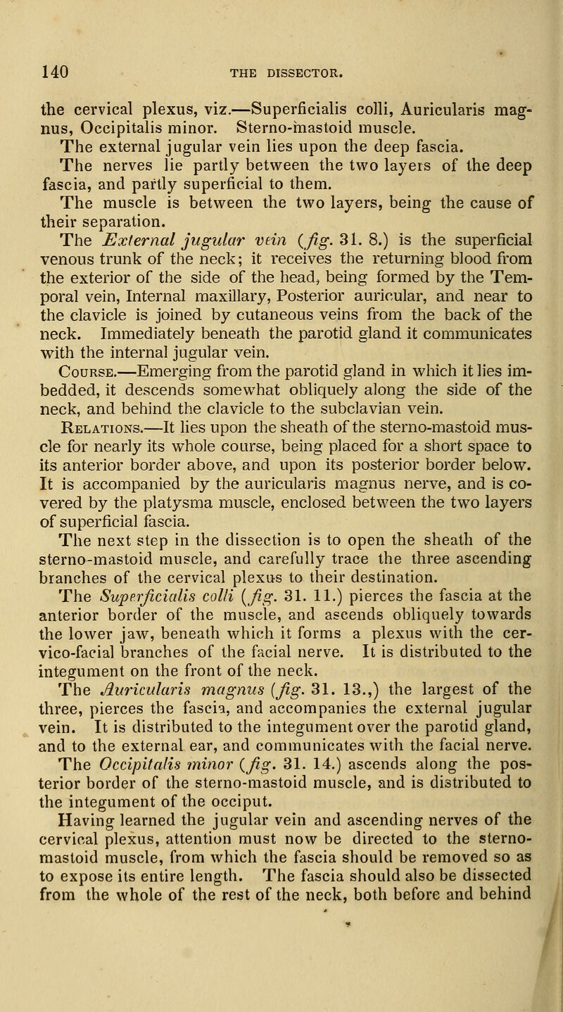 the cervical plexus, viz.—Superficialis colli, Auricularis mag- nus, Occipitalis minor. Sterno-mastoid muscle. The external jugular vein lies upon the deep fascia. The nerves lie partly between the two layers of the deep fascia, and partly superficial to them. The muscle is between the two layers, being the cause of their separation. The External jugular vein (Jig. 31. 8.) is the superficial venous trunk of the neck; it receives the returning blood from the exterior of the side of the head, being formed by the Tem- poral vein, Internal maxillary, Posterior auricular, and near to the clavicle is joined by cutaneous veins from the back of the neck. Immediately beneath the parotid gland it communicates with the internal jugular vein. Course.—Emerging from the parotid gland in which it lies im- bedded, it descends somewhat obliquely along the side of the neck, and behind the clavicle to the subclavian vein. Relations.—It lies upon the sheath of the sterno-mastoid mus- cle for nearly its whole course, being placed for a short space to its anterior border above, and upon its posterior border below. It is accompanied by the auricularis magnus nerve, and is co- vered by the platysma muscle, enclosed between the two layers of superficial fascia. The next step in the dissection is to open the sheath of the sterno-mastoid muscle, and carefully trace the three ascending branches of the cervical plexus to their destination. The Superficialis colli {fig. 31. 11.) pierces the fascia at the anterior border of the muscle, and ascends obliquely towards the lower jaw, beneath which it forms a plexus with the cer- vicofacial branches of the facial nerve. It is distributed to the integument on the front of the neck. The Auricularis magnus {fig. 31. 13.,) the largest of the three, pierces the fascia, and accompanies the external jugular vein. It is distributed to the integument over the parotid gland, and to the external ear, and communicates with the facial nerve. The Occipitalis minor (fig. 31. 14.) ascends along the pos- terior border of the sterno-mastoid muscle, and is distributed to the integument of the occiput. Having learned the jugular vein and ascending nerves of the cervical plexus, attention must now be directed to the sterno- mastoid muscle, from which the fascia should be removed so as to expose its entire length. The fascia should also be dissected from the whole of the rest of the neck, both before and behind