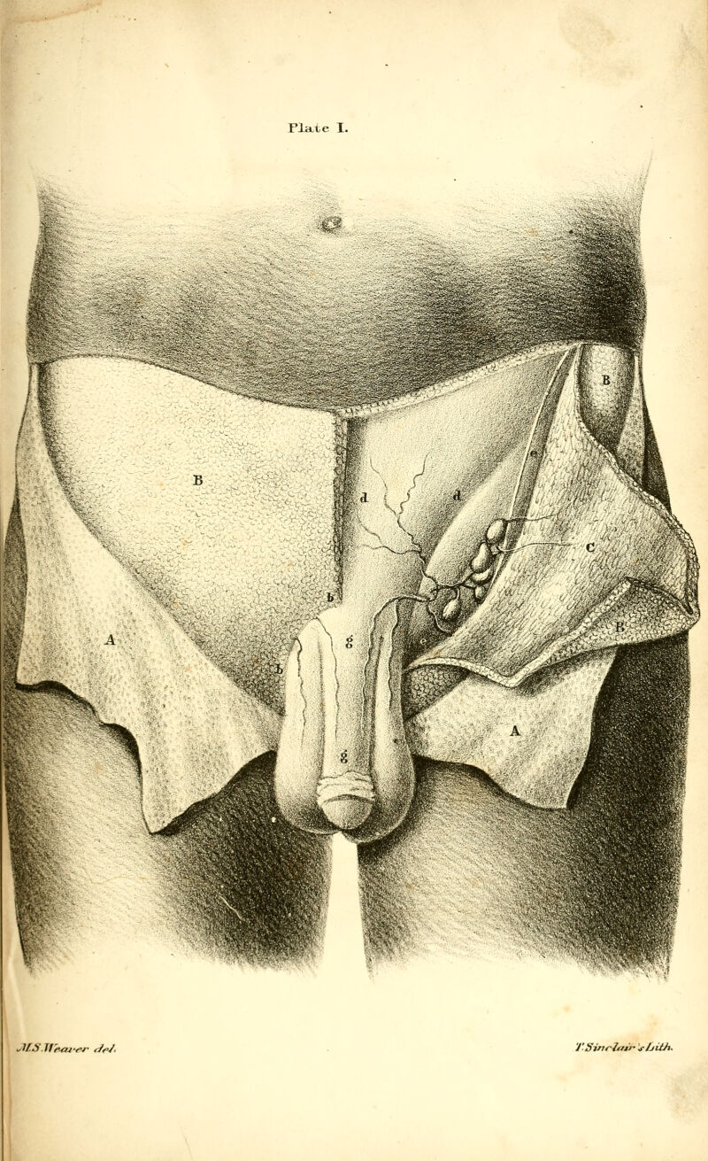 Flaie I. ■fc- m ,11..S U'r-ai'sr deJ' 'J'SrnrJftir- \y/jith.