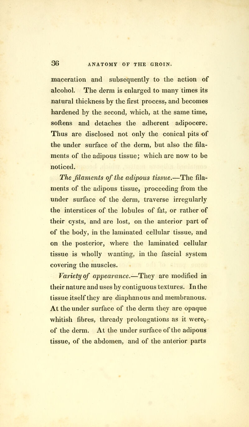 maceration and subsequently to the action of alcohol. The derm is enlarged to many times its natural thickness by the first process, and becomes hardened by the second, which, at the same time, softens and detaches the adherent adipocere. Thus are disclosed not only the conical pits of the under surface of the derm, but also the fila- ments of the adipous tissue; which are now to be noticed. The filaments of the adipous tissue.—The fila- ments of the adipous tissue, proceeding from the under surface of the derm, traverse irregularly the interstices of the lobules of fat, or rather of their cysts, and are lost, on the anterior part of of the body, in the laminated cellular tissue, and on the posterior, where the laminated cellular tissue is wholly wanting, in the fascial system covering the muscles. Variety of appearance.—They are modified in their nature and uses by contiguous textures. In the tissue itself they are diaphanous and membranous. At the under surface of the derm they are opaque whitish fibres, thready prolongations as it were, of the derm. At the under surface of the adipous tissue, of the abdomen, and of the anterior parts