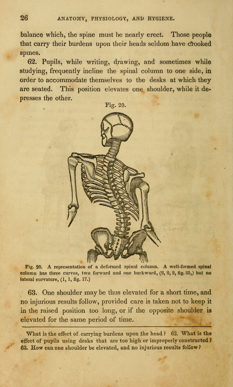 balance which, the spine must be nearly erect. Those people that carry their burdens upon their heads seldom have clooked spmes. 62. Pupils, while writing, drawing, and sometimes while studying, frequently incline the spinal column to one side, in order to accommodate themselves to the desks at which they are seated. This position elevates one shoulder, while it de- presses the other. Fig. 20. Fig, 20, A representation of a deformed spinal column. A well-formed spinal column has three curves, two forward and one backward, (2, 2, 2, fig. 25,) but no lateral curvature, (1,1, fig. 17.) 63. One shoulder may be thus elevated for a short time, and no injurious results follow, provided care is taken not to keep it in the raised position too long, or if the opposite shoulder is elevated for the same period of time. What is the effect of carrying burdens upon the head ? 62. What is the eifect of pupils using desks that are too high or improperly constructed ? 63. How can one shoulder be elevated, and no injurious results follow ?