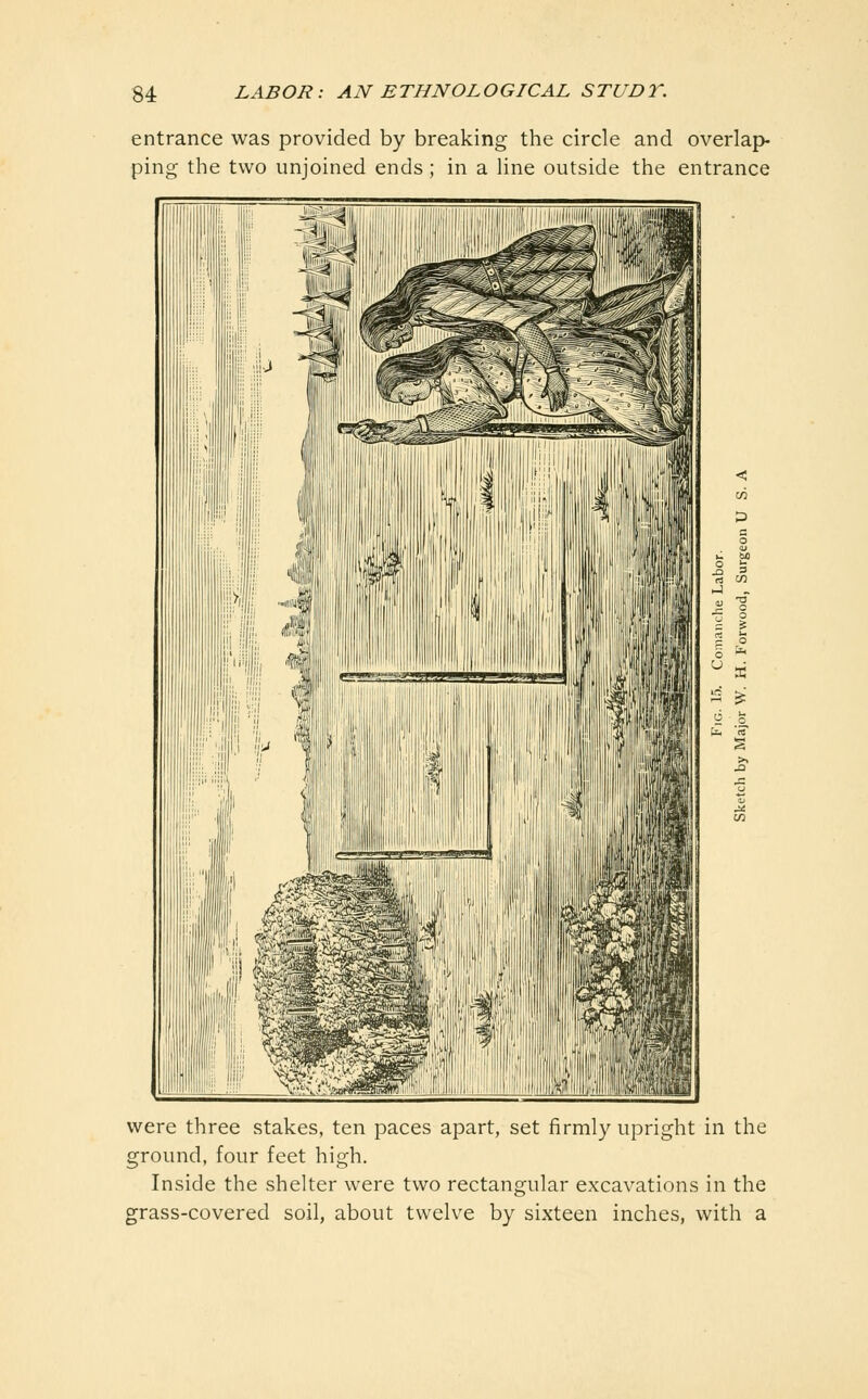 entrance was provided by breaking the circle and overlap- ping the two unjoined ends; in a line outside the entrance 2 ^ were three stakes, ten paces apart, set firmly upright in the ground, four feet high. Inside the shelter were two rectangular excavations in the grass-covered soil, about tweh^e by sixteen inches, with a