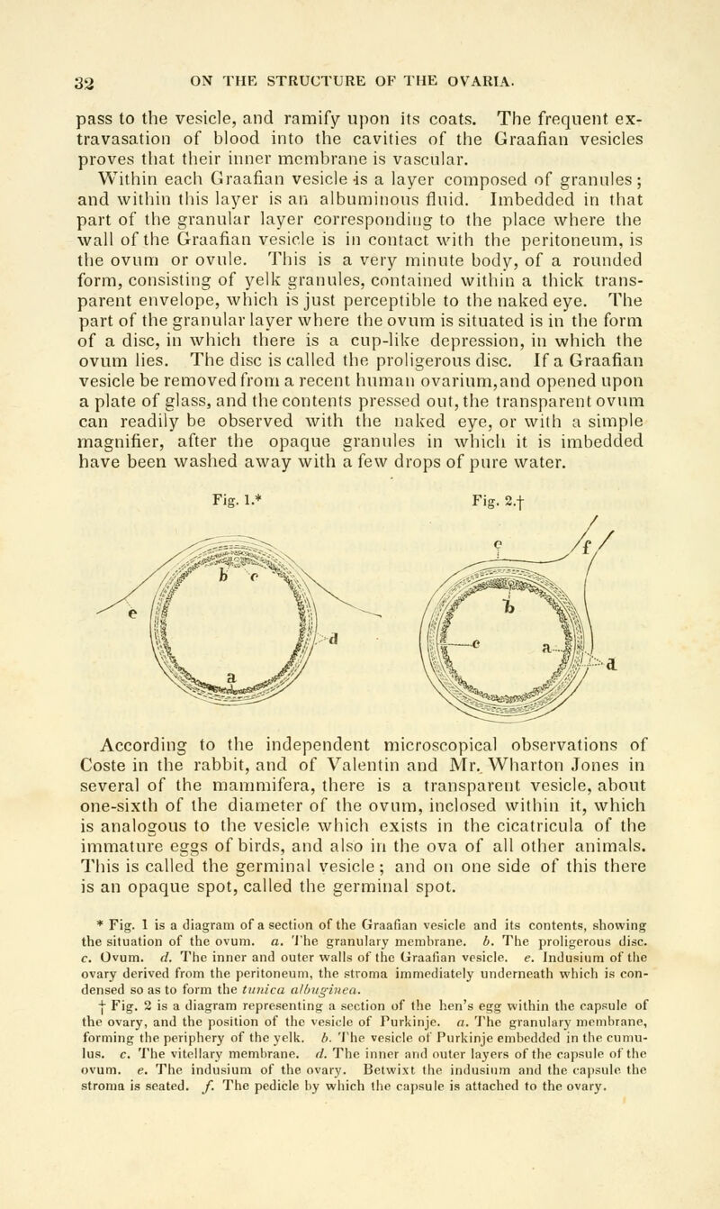 pass to the vesicle, and ramify upon its coats. The frequent ex- travasation of blood into the cavities of the Graafian vesicles proves tliat their inner membrane is vascular. Within each Graafian vesicle-is a layer composed of granules; and within this layer is an albuminous fliuid. Imbedded in that part of the granular layer corresponding to the place where the wall of the Graafian vesicle is in contact with the peritoneum, is the ovum or ovule. This is a very minute body, of a rounded form, consisting of yelk granules, contained within a thick trans- parent envelope, which is just perceptible to the naked eye. The part of the granular layer where the ovum is situated is in the form of a disc, in which there is a cup-like depression, in which the ovum lies. The disc is called the proligerous disc. If a Graafian vesicle be removed from a recent human ovarium,and opened upon a plate of glass, and the contents pressed out, the transparent ovum can readily be observed with the naked eye, or with a simple magnifier, after the opaque granules in whicli it is imbedded have been washed away with a few drops of pure water. Fig. 1. Fig. 2.t According to the independent microscopical observations of Coste in the rabbit, and of Valentin and Mr., Wharton Jones in several of the mammifera, there is a transparent vesicle, about one-sixth of the diameter of the ovum, inclosed within it, which is analogous to the vesicle which exists in the cicatricula of the immature eggs of birds, and also in the ova of all other animals. This is called the germinal vesicle ; and on one side of this there is an opaque spot, called the germinal spot. * Fig. 1 is a diagram of a section of the Graafian vesicle and its contents, showing the situation of the ovum. a. 'J'he granulary membrane, b. The proligerous disc. c. Ovum. d. The inner and outer walls of the Graafian vesicle, e. Indusium of the ovary derived from the peritoneum, the stroma immediately underneath which is con- densed so as to form the tunica albughiea. I Fig. 2 is a diagram representing a section of the hen's egg within the capsule of the ovary, and the position of the vesicle of Purkinje. a. The granulary membrane, forming the periphery of the yelk. b. 'J'he vesicle of Purkinje embedded in the cumu- lus, c. The vitellary membrane, d. The inner and outer layers of the capsule of the ovum. e. The indusium of the ovary. Betwixt the indusium and the capsule the stroma is seated, f. The pedicle by which the capsule is attached to the ovary.