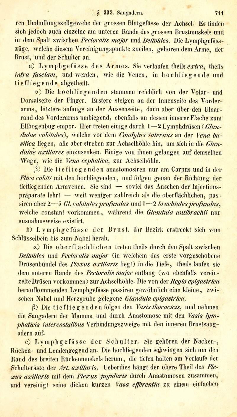 ren Umhüllungszellgewebe der grossen Blutgefässe der Achsel. Es finden sich jedoch auch einzelne am unteren Rande des grossen Bruslmuskels und in dem Spalt zwischen Pectoralis major und Deltoides. Die Lymphgefäss- züge, welche diesem Vereinigungspunkte zueilen, gehören dem Arme, der Brust, und der Schulter an. a) Lymphgefässe des Armes. Sie verlaufen theils^a^^r«, theils iiUra fasciam, und w erden, wie die Venen, in h o c h 1 i e g e n d e und tiefliegende abgetheilt. a) Die hochliegenden stammen reichlich von der Volar- und Dorsalseite der Finger. Erstere steigen an der Innenseite des Vorder- arms , letztere anfangs an der Aussenseite, dann aber über den Ulnar- rand des Vorderarms umbiegend, ebenfalls an dessen innerer Fläche zum Ellbogenbug empor. Hier treten einige durch 1—2 Lymphdrüsen (^'Am- dulae ciibitales), welche vor dem Condylus internus an der Yena ha^ silica liegen, alle aber streben zur Achselhöhle hin, um sich in die Glan- didae axillares einzusenken. Einige von ihnen gelangen auf demselben Wege, wie die Vena cephalica, zur Achselhöhle. ß) Die tiefliegenden anastomosiren nur am Carpus und h\ der Plica cubiti mit den hochliegenden, und folgen genau der Richtung der tiefliegenden Armvenen. Sie sind — soviel das Ansehen der Injections- präparate lehrt — weit weniger zahlreich als die oberflächlichen, pas- siren aber 2—5 Gl.ciibitales p?'ofimdas und 1—2 brachialesprofundas^ welche constant vorkommen, während die Glandida antibrachii nur ausnahmsweise existirt. b) Lymphgefässe der Brust. Ihr Bezirk erstreckt sich vom Schlüsselbein bis zum Nabel herab. a) Die oberflächlichen treten theils durch den Spalt zwischen Deltoides und Pect&ralis major (in welchem das erste vorgeschobene Drüsenbündel des Plexus axillaris liegt) in die Tiefe, theils laufen sie dem unteren Rande des Pectoralis major entlang (wo ebenfalls verein- zelte Drüsen vorkommen) zur Achselhöhle- Die von (\qy Regio epigastrica heraufkommenden Lymphgefässe passiren gewöhnlich eine kleine, zwi- schen Nabel und Herzgrube gelegene Glamhda epigastrica. j3) Die tiefliegenden folgen den Yasisthoracicis, und nehmen die Saugadern der Mamma und durch Anastomose mit den Yasis lym- phaticis intercostalibus Verbindungszweige mit den inneren Brustsaug- adern auf. c) Lymphgefässe der Schulter. Sie gehören der Nacken-, Rücken- und Lendengegend an. Die hochliegenden s(^iwingen sich um den Rand des breiten Rückenmuskels herum, die tiefen halten am Verlaufe der Schulteräste der Art. axillaris. Ueberdies hängt der obere Theil des Ple- xus axillaris mit dem Plexus jugularis durch Anastomosen zusammen, und vereinigt seine dicken kurzen Yasa efferentia zu einem einfachen