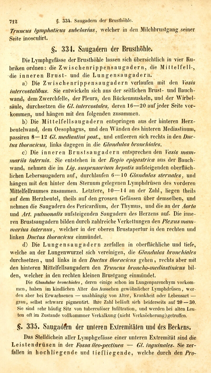 Trnncus lymphaticus subckwius, -^reicher in den Milchbriistgang seiner Seite inosculirt. §. 334. Saugadern der Brusthöhle. Die Lymphgefässe der Brusthöhle lassen sich übersichtlich in vier Ru- briken ordnen: die Zwischenrippensaugadern, die Mittelfell-, die inneren Brust- und die Lungensaugadern. a) Die Zwischenrippensaugadern verlaufen mit den Vasis mtercüstalibus. Sie entwickeln sich aus der seitlichen Brust- und Bauch- wand, dem Zwerchfelle, der Pleura^ den Rückenmuskeln, und der Wirbel- säule, durchsetzen die Gl. intercostales, deren 16—20 auf jeder Seite vor- kommen, und hängen mit den folgenden zusammen. b) Die Mittelfellsaugadern entspringen aus der iiinleren Herz- beutelwand_, dem Oesophagus, und den Wänden des hinteren Mediastinum, passiren 8—12 Gl. mediastM jwst.., und entleeren sich rechts in den Duc- tus thoracicus, links dagegen in die Glandtilas bronchiales. c) Die inneren Brustsaugadern entsprechen den Vasis mam- mariis internis. Sie entstehen in der Regio epigastrica aus der Bauch- wand, nehmen die im Lig. Suspensorium hepatis aufsteigenden oberfläch- lichen Lebersaugadern auf, durchlaufen 6—10 Glandulas sternales, und hängen mit den hinter dem Sternum gelegenen Lymphdrüsen des vorderen Mittelfellraumes zusammen. Letztere, 10—14 an der Zahl, liegen theils auf dem Herzbeutel, theils auf den grossen Gefässen über demselben, und nehmen die Saugadern des Pericardium, der Thymus, und die an der Aorta und Art. pulmonalis aufsteigenden Saugadern des Herzens auf. Die inne- ren Brustsaugadern bilden durch zahlreiche Verkettungen den Plexus mam~ marius internus, welcher in der oberen Brustapertur in den rechten und linken Ductus thoracicus einmündet, d) Die Lungensaugadern zerfallen in oberflächliche und tiefe, welche an der Lungenwurzel sich vereinigen, die Glandulas bronchiales durchsetzen, und links in den Ductus thoracicus gehen, rechts aber mit den hinteren Mittelfellsaugadern den Truncus broncho-mediastinicus bil- den, welcher in den rechten kleinen Brustgang einmündet. Die Glandulae bronchiales, deren einige schon im Lungenparenchym vorkom- men , haben im kindliclien Alter das Aussehen gewöhnlicher Lymphdrüsen, wer- den aber bei Erwachsenen — unabhängig von Alter, Krankheit oder Lebensart — grau, selbst schwarz pigmentirt. Ihre Zahl belauft sich beiderseits auf 20 — 30. Sie sind sehr häufig Sitz von tuherculöser Infiltration, und werden hei alten Leu- ten oft im Zustande vollkommner Verkalkung (nicht Verknöcherung) getroffen. §. 335. SaugadÄ'n der unteren Extremittäten und des Beckens. Das Stelldichein aller Lymphgefässe einer unteren Extremität sind die Leistendrüsen in der Fossaileo-pectinea — Gl. inguinales. Sie zer- fallen in hochliegende und tiefliegende, welche durch dep/Vo-