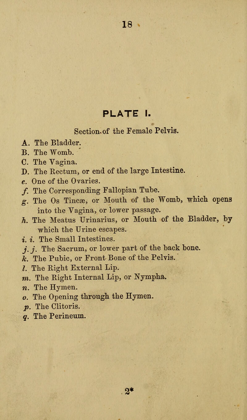 PLATE I. Section, of the Female Pelvis. A. The Bladder. B. The Womb. C. The Vagina. D. The Rectum, or end of the large Intestine. e. One of the Ovaries. /. The Corresponding Fallopian Tube. g. The Os Tincse, or Mouth of the Womb, which opens into the Vagina, or lower passage. h. The Meatus Urinarius, or Mouth of the Bladder, by which the Urine escapes. i. i. The Small Intestines. j. j. The Sacrum, or lower part of the back bone. k. The Pubic, or Front Bone of the Pelvis. I. The Right External Lip. m. The Right Internal Lip, or Nympha. n. The Hymen. o. The Opening through the Hymen. p. The Clitoris. q. The Perineum. 9*