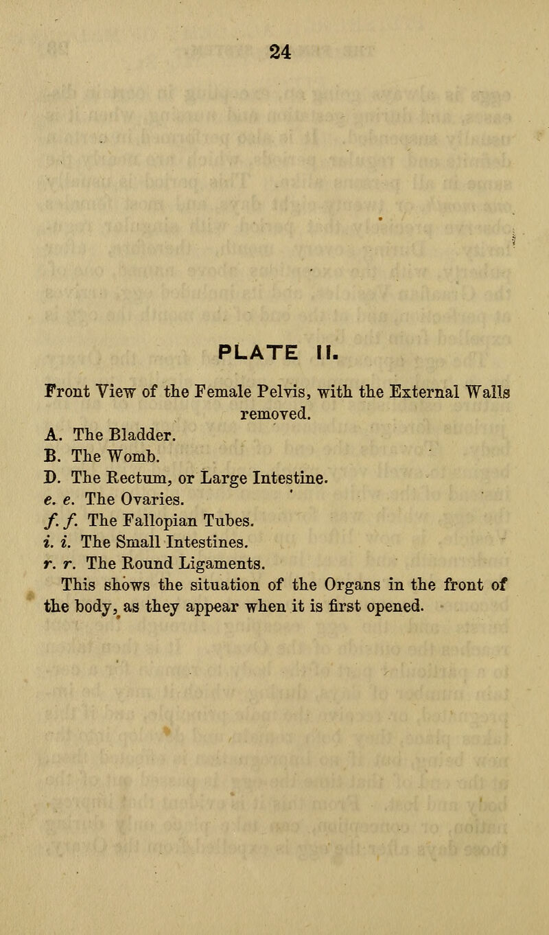 PLATE II. Front View of the Female Pelvis, with the External Walls removed. A. The Bladder. B. The Womb. D. The Rectum, or Large Intestine. e. e. The Ovaries. /. /. The Fallopian Tubes. i. i. The Small Intestines. r. r. The Round Ligaments. This shows the situation of the Organs in the front of the body, as they appear when it is first opened.