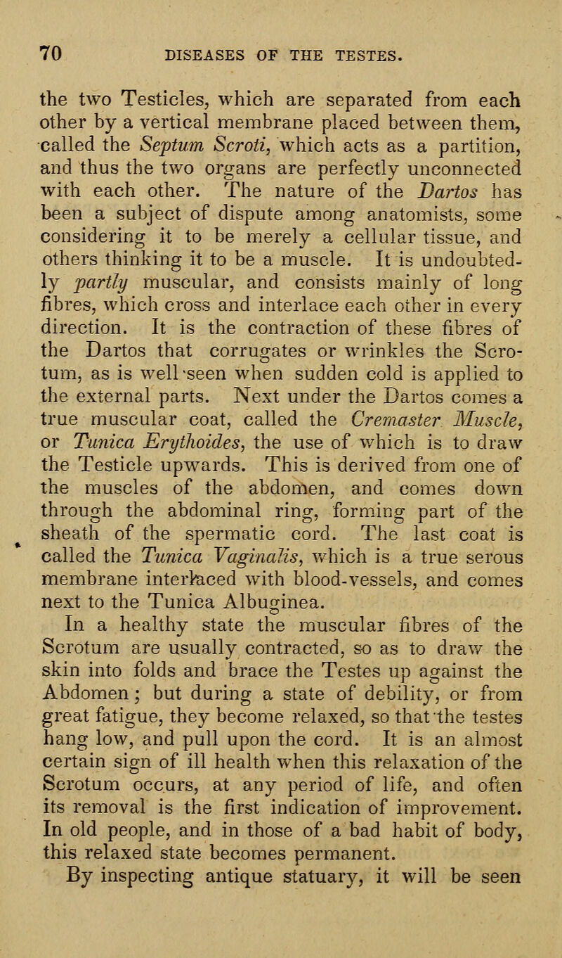 the two Testicles, which are separated from each other by a vertical membrane placed between them, called the Septum Scroti, which acts as a partition, and thus the two organs are perfectly unconnected with each other. The nature of the Dartos has been a subject of dispute among anatomists, some considering it to be merely a cellular tissue, and others thinking it to be a muscle. It is undoubted- ly partly muscular, and consists mainly of long fibres, which cross and interlace each other in every direction. It is the contraction of these fibres of the Dartos that corrugates or wrinkles the Scro- tum, as is well %seen when sudden cold is applied to the external parts. Next under the Dartos comes a true muscular coat, called the Crernaster Muscle, or Tunica Erythoides, the use of which is to draw the Testicle upwards. This is derived from one of the muscles of the abdomen, and comes down through the abdominal ring, forming part of the sheath of the spermatic cord. The last coat is called the Tunica Vaginalis, which is a true serous membrane interlaced with blood-vessels, and comes next to the Tunica Albuginea. In a healthy state the muscular fibres of the Scrotum are usually contracted, so as to draw the skin into folds and brace the Testes up against the Abdomen; but during a state of debility, or from great fatigue, they become relaxed, so that the testes hang low, and pull upon the cord. It is an almost certain sign of ill health when this relaxation of the Scrotum occurs, at any period of life, and often its removal is the first indication of improvement. In old people, and in those of a bad habit of body, this relaxed state becomes permanent. By inspecting antique statuary, it will be seen