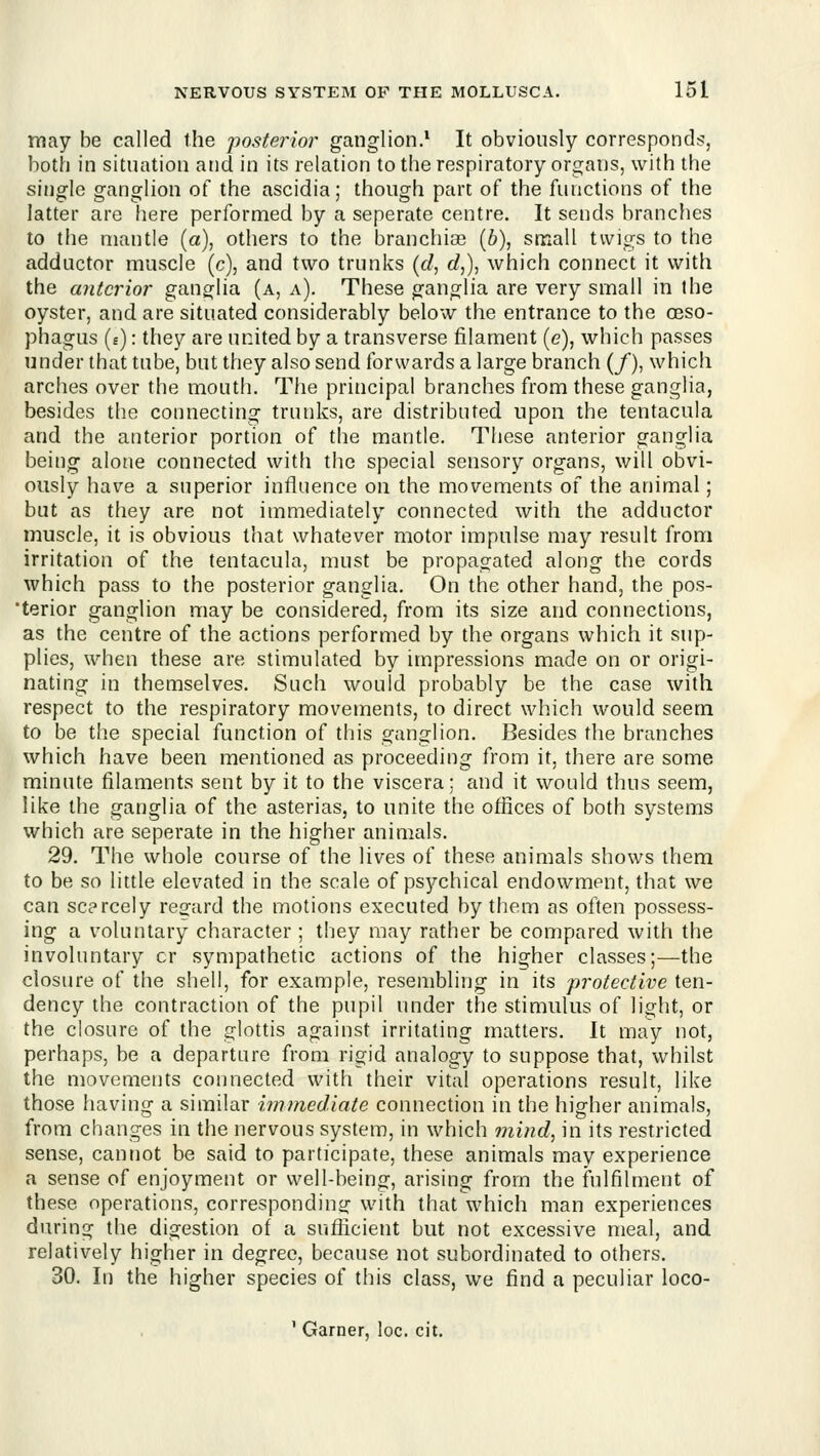 may be called the jwsterior ganglion.* It obviously corresponds, both in situation and in its relation to the respiratory organs, with the single ganglion of the ascidia; though part of the functions of the latter are here performed by a seperate centre. It sends branches to the mantle (a), others to the branchias (6), small twigs to the adductor muscle (c), and two trunks (cZ, rf,), which connect it with the anterior ganglia (a, a). These ganglia are very small in the oyster, and are situated considerably below the entrance to the oeso- phagus (e) : they are united by a transverse filament (e), which passes under that tube, but they also send forwards a large branch (/), which arches over the mouth. The principal branches from these ganglia, besides the connecting trunks, are distributed upon the tentacula and the anterior portion of the mantle. These anterior ganglia beii]g alone connected with the special sensory organs, will obvi- ously have a superior influence on the movements of the animal; but as they are not immediately connected with the adductor muscle, it is obvious that whatever motor impulse may result from irritation of the tentacula, must be propagated along the cords which pass to the posterior ganglia. On the other hand, the pos- terior ganglion may be considered, from its size and connections, as the centre of the actions performed by the organs which it sup- plies, when these are stimulated by impressions made on or origi- nating in themselves. Such would probably be the case with respect to the respiratory movements, to direct which would seem to be the special function of this ganglion. Besides the branches which have been mentioned as proceeding from it, there are some minute filaments sent by it to the viscera; and it would thus seem, like the ganglia of the asterias, to unite the offices of both systems which are seperate in the higher animals. 29. The whole course of the lives of these animals shows them to be so liitle elevated in the scale of psychical endowment, that we can scarcely regard the motions executed by them as often possess- ing a voluntary character ; they may rather be compared with the involuntary or sympathetic actions of the higher classes;—the closure of the shell, for example, resembling in its protective ten- dency the contraction of the pupil under the stimulus of light, or the closure of the glottis against irritating matters. It may not, perhaps, be a departure from rigid analogy to suppose that, whilst the movements connected with their vital operations result, like those having a similar i^nmediate connection in the higher animals, from changes in the nervous system, in which mi?id, in its restricted sense, cannot be said to participate, these animals may experience a sense of enjoyment or well-being, arising from the fulfilment of these operations, corresponding with that which man experiences during the digestion of a sufficient but not excessive meal, and relatively higher in degree, because not subordinated to others. 30. In the higher species of this class, we find a peculiar loco-
