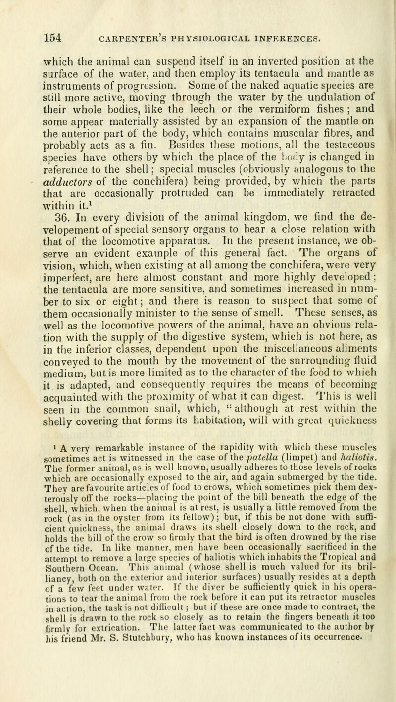 which the animal can suspend itself in an inverted position at the surface of the water, and then employ its tentacula and mantle as instruments of progression. Some of the naked aquatic species are still more active, moving through the water by the undulation of their whole bodies, like the leech or the vermiform fishes ; and some appear materially assisted by an expansion of the mantle on the anterior part of the body, which contains muscular fibres, and probably acts as a fin. Besides these motions, all the testaceous species have others by which the place of the hudy is changed in reference to the shell; special muscles (obviously analogous to the adductors of the conchifera) being provided, by which the parts that are occasionally protruded can be immediately retracted within it.^ 36. In every division of the animal kingdom, we find the de- velopement of special sensory organs to bear a close relation with that of the locomotive apparatus. In the present instance, we ob- serve an evident example of this general fact. The organs of vision, which, when existing at all among the conchifera, were very imperfect, are here almost constant and more highly developed; the tentacula are more sensitive, and sometimes increased in num- ber to six or eight; and there is reason to suspect that some of them occasionally minister to the sense of smell. These senses, as well as the locomotive powers of the animal, have an obvious rela- tion with the supply of the digestive system, which is not here, as in the inferior classes, dependent upon the miscellaneous aliments conveyed to the mouth by the movement of the surrounding fluid medium, but is more limited as to the character of the food to which it is adapted, and consequently requires the means of becoming acquainted with the proximity of what it can digest. This is well seen in the common snail, which, although at rest within the shelly covering that forms its habitation, will with great quickness ' A very remarkable instance of the rapidity with which these muscles sometimes act is witnessed in the case of the patella (limpet) and haliotis. The former animal, as is well known, usually adheres to those levels of rocks which are occasionally exposed to the air, and again submerged by the tide. They are favourite articles of food to crows, which sometimes pick them dex- terously off the rocks—placing the point of the bill beneath the edge of the shell which, when the animal is at rest, is usually a little removed from the rock (as in the oyster from its fellow); but, if tliis be not done with suffi- cient quickness, the animal draws its shell closely down to the rock, and holds the bill of the crow so firmly that the bird is often drowned by the rise of the tide. In like manner, men have been occasionally sacrificed in the attempt to remove a large species of haliotis which inhabits the Tropical and Southern Ocean. This animal (whose shell is much valued for its bril- liancy, both on the exterior and interior surfaces) usually resides at a depth of a few feet under water. If the diver be sufficiently quick in his opera- tions to tear the animal from the rock before it can put its retractor muscles in action, the task is not difficult; but if these are once made to contract, the shell is drawn to tlie rock so closely as to retain the fingers beneath it too firmly for extrication. The latter fact was communicated to the auti)or by his friend Mr. S. Stutchbury, who has known instances of its occurrence.