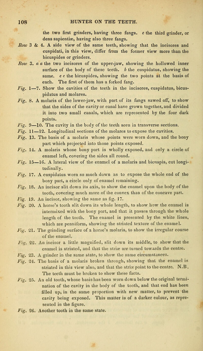 the two first grinders, having three fangs, e the third grinder, or dens sapientias, having also three fangs. Row 3 & 4. A side view of the same teeth, showing that the incisores and cuspidati, in this view, differ from the former view more than the bicuspides or grinders. Row 3. a a the two incisores of the upper-jaw, showing the hollowed inner surface of the body of these teeth, b the cuspidatus, showing the same, c c the bicuspides, showing the two points at the basis of each. The first of them has a forked fang. Fig. 1—7. Show the cavities of the teeth in the incisores, cuspidatus, bicus- pidatus and molares. Fig. 8. A molaris of the lower-jaw, with part of its fangs sawed off, to show that the sides of the cavity or canal have grown together, and divided it into two small canals, which are represented by the four dark points. Fig. 9—10. The cavity in the body of the teeth seen in transverse sections. Fig. 11—12. Longitudinal sections of the molares to expose the cavities. Fig. 13. The basis of a molaris whose points were worn down, and the bony part which projected into those points exposed. Fig. 14. A molaris whose bony part is wholly exposed, and only a circle of enamel left, covering the sides all round. Fig. 15—16. A lateral view of the enamel of a molaris and bicuspis, cut longi- tudinally. Fig. 17. A cuspidatus worn so much down as to expose the whole end of the bony part, a circle only of enamel remaining. Fig. 18. An incisor slit down its axis, to show the enamel upon the body of the tooth, covering much more of the convex than of the concave part. Fig. 19. An incisor, showing the same as fig. 17. Fig. 20. A horse's tooth slit down its whole length, to show how the enamel is intermixed with the bony part, and that it passes through the whole length of the tooth. The enamel is presented by the white lines, which are penniform, showing the striated texture of the enamel. Fig. 21. The grinding surface of a horse's molaris, to show the irregular course of the enamel. Fig. 22. An incisor a little magnified, slit down its middle, to show that the enamel is striated, and that the striae are turned towards the centre. Fig. 23. A grinder in the same state, to show the same circumstances. Fig. 24. The basis of a molaris broken through, showing that the enamel is striated in this view also, and that the strice point to the centre. N.B. The teeth must be broken to show these facts. Fig. 25. An old tooth, whose basis has been worn down below the original termi- nation of the cavity in the body of the tooth, and that end has been filled up, in the same proportion with new matter, to prevent the cavity being exposed. This matter is of a darker colour, as repre- sented in the figure. Fig. 26. Another tooth in the same state.