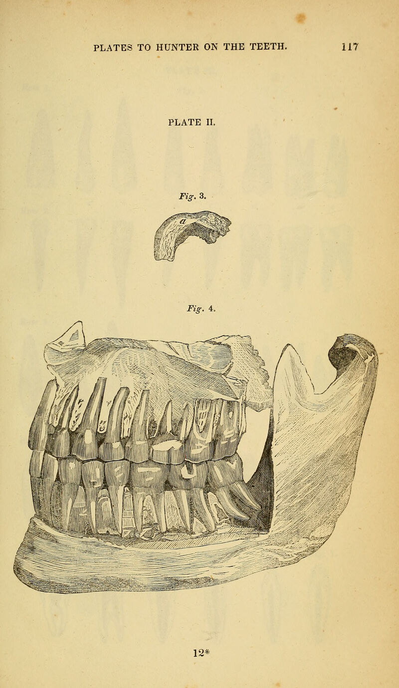 PLATE II. Fig. 3. Fig. 4. 12*
