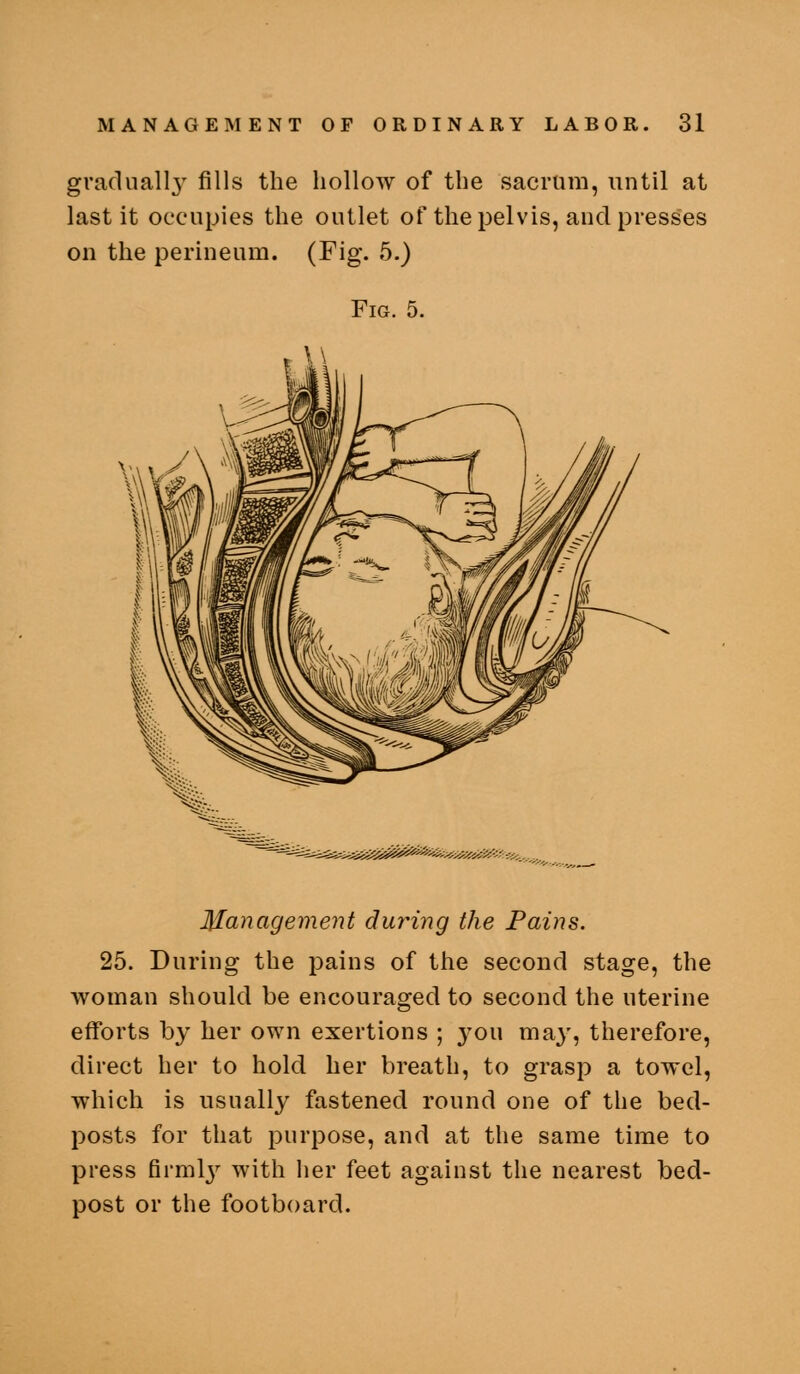 gradually fills the hollow of the sacrum, until at last it occupies the outlet of the pelvis, and presses on the perineum. (Fig. 5.) Fig. 5. Management during the Pains. 25. During the pains of the second stage, the woman should be encouraged to second the uterine efforts by her own exertions ; you may, therefore, direct her to hold her breath, to grasp a towel, which is usually fastened round one of the bed- posts for that purpose, and at the same time to press firml}' with her feet against the nearest bed- post or the footboard.