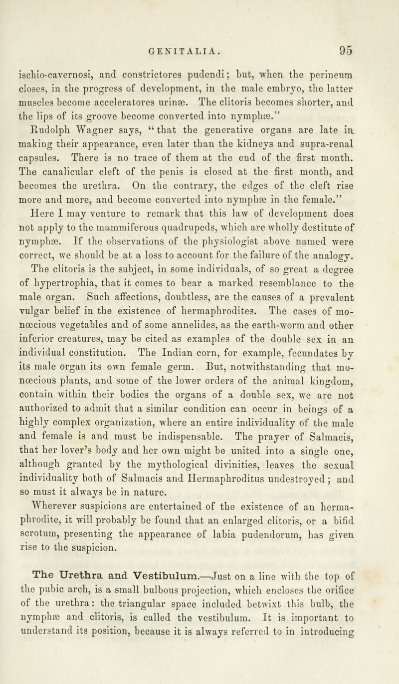 ischio-cavernosi, and constrictores pudendi; but, ■when the perineum closes, in the progress of development, in the male embryo, the latter muscles become acceleratores urinae. The clitoris becomes shorter, and the lips of its groove become converted into nymphje. Rudolph Wagner says,  that the generative organs are late in. making their appearance, even later than the kidneys and supra-renal capsules. There is no trace of them at the end of the first month. The canalicular cleft of the penis is closed at the first month, and becomes the urethra. On the contrary, the edges of the cleft rise more and more, and become converted into nymphse in the female. Here I may venture to remark that this law of development does not apply to the mammiferous quadrupeds, which are wholly destitute of nymphae. If the observations of the physiologist above named were correct, we should be at a loss to account for the failure of the analogy. The clitoris is the subject, in some individuals, of so great a degree of hypertrophia, that it comes to bear a marked resemblance to the male organ. Such affections, doubtless, are the causes of a prevalent vulgar belief in the existence of hermaphrodites. The cases of mo- noecious vegetables and of some annelides, as the earth-worm and other inferior creatures, may be cited as examples of the double sex in an individual constitution. The Indian corn, for example, fecundates by its male organ its own female germ. But, notwithstanding that mo- noecious plants, and some of the lower orders of the animal kingdom, contain within their bodies the organs of a double sex, we are not authorized to admit that a similar condition can occur in beinsrs of a o highly complex organization, where an entire individuality of the male and female is and must be indispensable. The prayer of Salmacis, that her lover's body and her own might be united into a single one, although granted by the mythological divinities, leaves the sexual individuality both of Salmacis and Hermaphroditus undestroyed; and so must it always be in nature. Wherever suspicions are entertained of the existence of an herma- phrodite, it will probably be found that an enlarged clitoris, or a bifid scrotum, presenting the appearance of labia pudendorum, has given rise to the suspicion. The Urethra and Vestibulum.—Just on a line with the top of the pubic arch, is a small bulbous projection, which encloses the orifice of the urethra: the triangular space included betwixt this bulb, the nymphse and clitoris, is called the vestibulum. It is important to understand its position, because it is always referred to in introducing