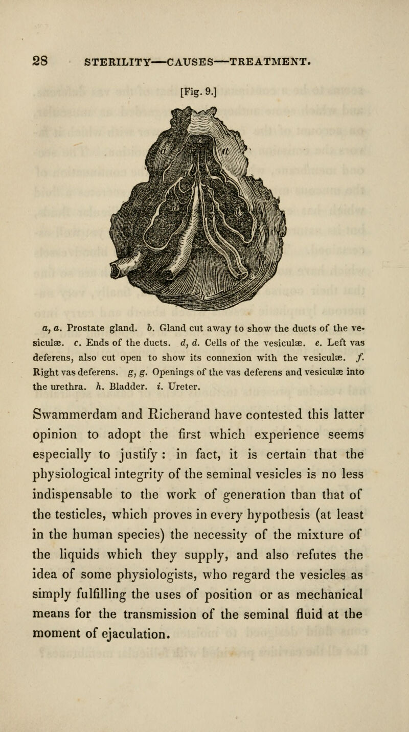 [Fig. 9.] a, a. Prostate gland, b. Gland cut away to show the ducts of the ve- siculae. c. Ends of the ducts, d, d. Cells of the vesiculae. e. Left vas deferens, also cut open to show its connexion with the vesiculse. /. Right vas deferens, g, g. Openings of the vas deferens and vesiculse into the urethra, h. Bladder, i. Ureter. Swammerdam and RIcherand have contested this latter opinion to adopt the first which experience seems especially to justify : in fact, it is certain that the physiological integrity of the seminal vesicles is no less indispensable to the work of generation than that of the testicles, which proves in every hypothesis (at least in the human species) the necessity of the mixture of the liquids which they supply, and also refutes the idea of some physiologists, who regard the vesicles as simply fulfilling the uses of position or as mechanical means for the transmission of the seminal fluid at the moment of ejaculation.