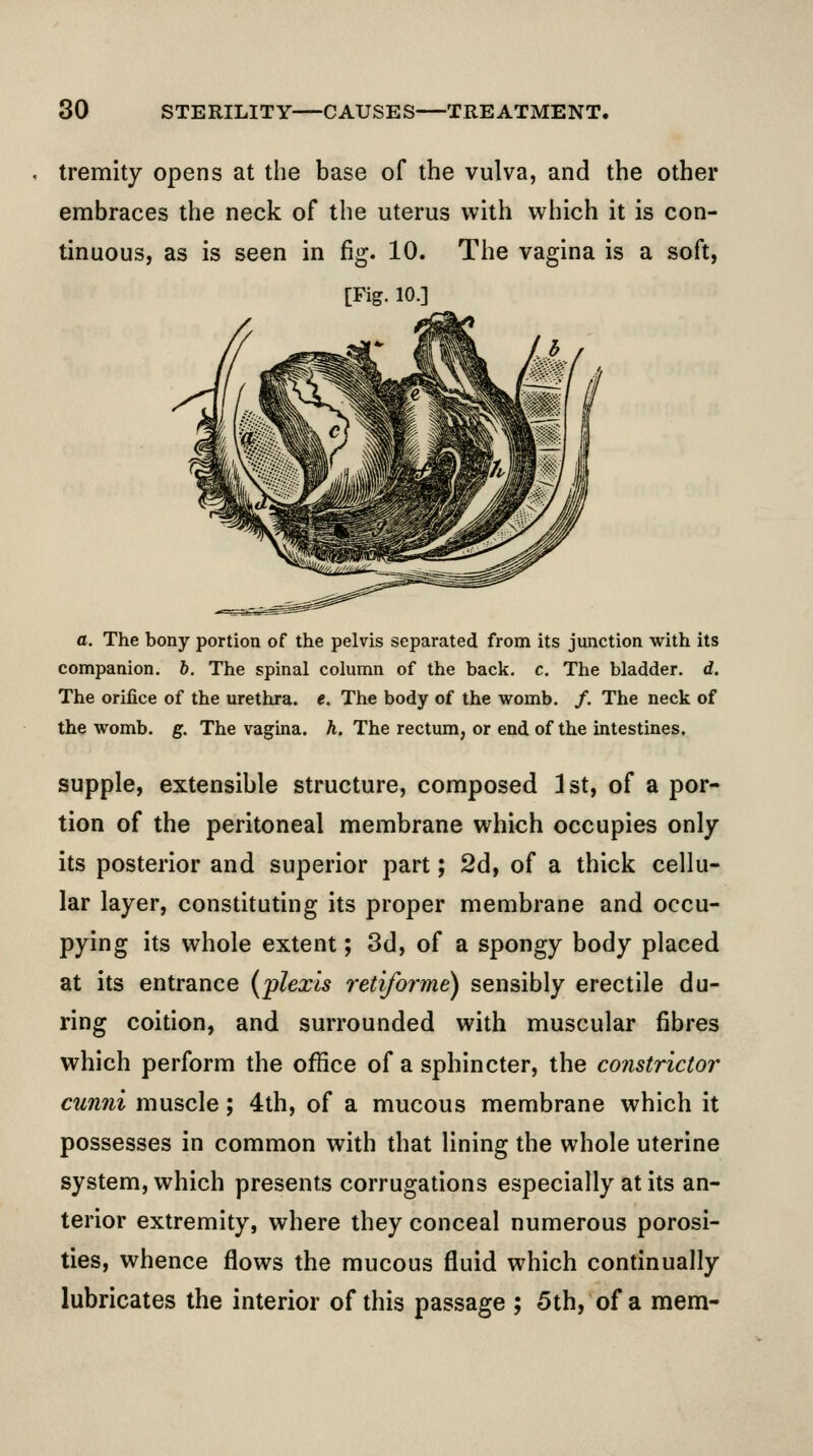 tremity opens at the base of the vulva, and the other embraces the neck of the uterus with which it is con- tinuous, as is seen in fig. 10. The vagina is a soft, [Fig. 10.] a. The bony portion of the pelvis separated from its junction with its companion, b. The spinal column of the back. c. The bladder, d. The orifice of the urethra, e. The body of the womb. /. The neck of the womb. g. The vagina, h. The rectum, or end of the intestines. supple, extensible structure, composed 1st, of a por- tion of the peritoneal membrane which occupies only its posterior and superior part; 2d, of a thick cellu- lar layer, constituting its proper membrane and occu- pying its whole extent; 3d, of a spongy body placed at its entrance {plexls retiforme) sensibly erectile du- ring coition, and surrounded with muscular fibres which perform the office of a sphincter, the constrictor cunni muscle; 4th, of a mucous membrane which it possesses in common with that lining the whole uterine system, which presents corrugations especially at its an- terior extremity, where they conceal numerous porosi- ties, whence flows the mucous fluid which continually lubricates the interior of this passage ; 5th, of a mem-