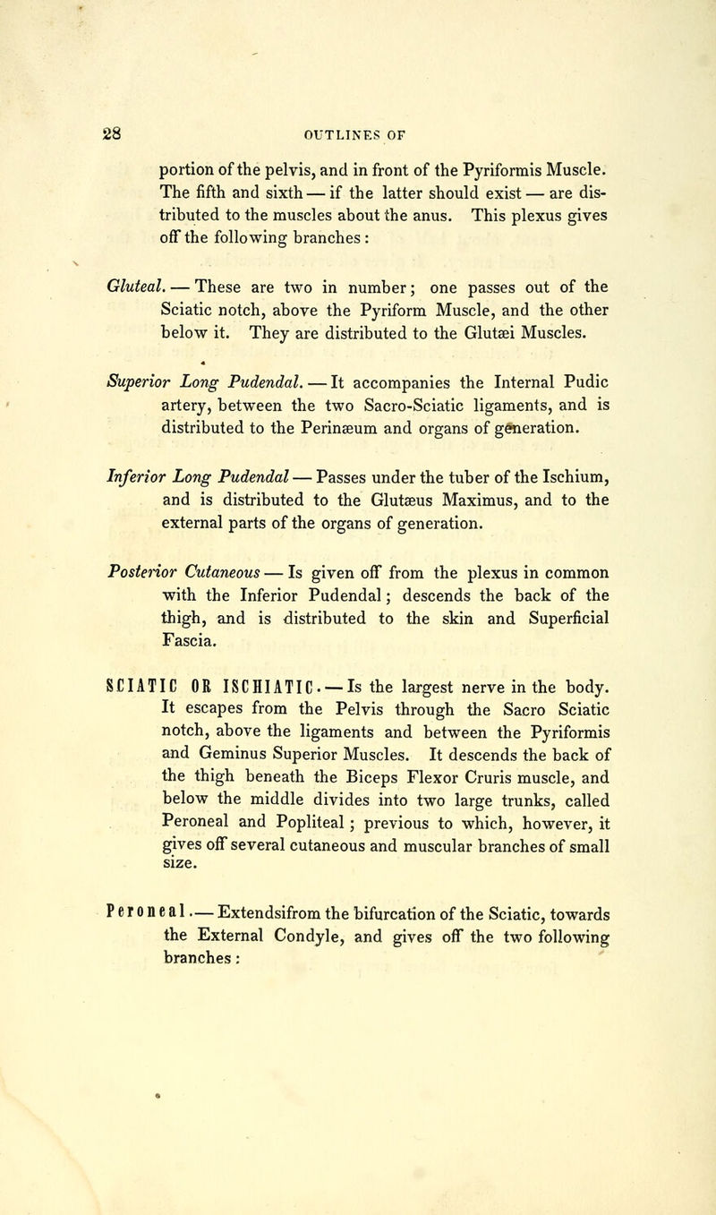 portion of the pelvis, and in front of the Pyriformis Muscle. The fifth and sixth— if the latter should exist — are dis- tributed to the muscles about the anus. This plexus gives off the following branches : Gluteal. — These are two in number; one passes out of the Sciatic notch, above the Pyriform Muscle, and the other below it. They are distributed to the Glutsei Muscles. Superior Long Pudendal. — It accompanies the Internal Pudic artery, between the two Sacro-Sciatic ligaments, and is distributed to the Perin^eum and organs of g^eration. Inferior Long Pudendal — Passes under the tuber of the Ischium, and is distributed to the Glutaeus Maximus, and to the external parts of the organs of generation. Posterior Cutaneous — Is given off from the plexus in common with the Inferior Pudendal; descends the back of the thigh, and is distributed to the skin and Superficial Fascia. SCIATIC OR ISCHIATIC. —Is the largest nerve in the body. It escapes from the Pelvis through the Sacro Sciatic notch, above the ligaments and between the Pyriformis and Geminus Superior Muscles. It descends the back of the thigh beneath the Biceps Flexor Cruris muscle, and below the middle divides into two large trunks, called Peroneal and Popliteal; previous to which, however, it gives off several cutaneous and muscular branches of small size. Peroneal — Extendsifrom the bifurcation of the Sciatic, towards the External Condyle, and gives off the two following branches: