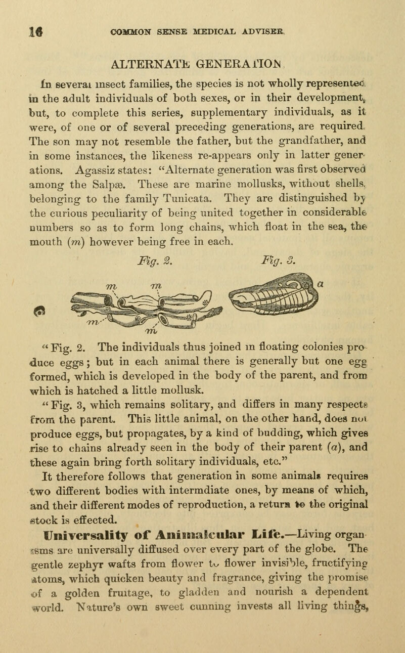 ALTERNATE GENERA HOJs Id several insect families, the species is not wholly representee in the adult individuals of both sexes, or in their development, but, to complete this series, supplementary individuals, as it were, of one or of several preceding generations, are required. The son may not resemble the father, but the grandfather, and in some instances, the likeness re-appears only in latter gener- ations. Agassiz states: Alternate generation was first observed among the Salpte. These are marine mollusks, without shells, belonging to the family Tunicata. They are distinguished hy the curious peculiarity of being united together in considerable numbers so as to form long chains, which float in the sea, the mouth (m) however being free in each. Fig. 2. Fig. 3. ^  Fig. 2. The individuals thus joined m floating colonies pro duce eggs; but in each animal there is generally but one egg formed, which is developed in the body of the parent, and from which is hatched a little mollusk. ^' Fig. 3, which remains solitary, and differs in many respects from the parent. This little animal, on the other hand, does noi produce eggs, but propagates, by a kind of budding, which gives rise to chains already seen in the body of their parent (a), and these again bring forth solitary individuals, etc. It therefore follows that generation in some animale requires two different bodies with intermdiate ones, by means of which, and their different modes of reproduction, a retura to the original istock is effected. Universality of AniiBiaficular Life.—Living organ ssms are universally diffused over every part of the globe. The gentle zephyr wafts from flower tv^ flower invisible, fructifying Atoms, which quicken beauty and fragrance, giving the promise of a golden fruitage, to gladden and nourish a dependent world. Nature's own sweet cunning invests all living things,