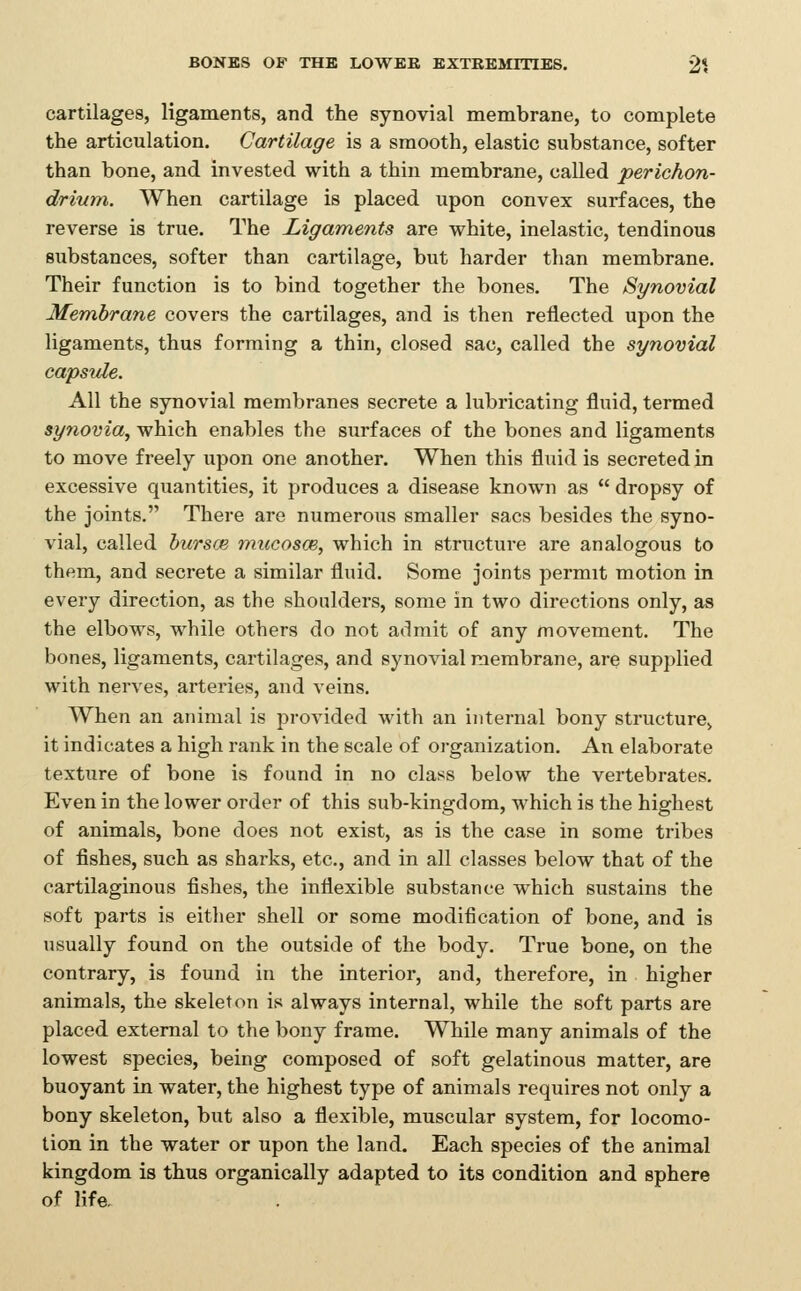 cartilages, ligaments, and the synovial membrane, to complete the articulation. Cartilage is a smooth, elastic substance, softer than bone, and invested with a thin membrane, called perichon- drium. When cartilage is placed upon convex surfaces, the reverse is true. The Ligaments are white, inelastic, tendinous substances, softer than cartilage, but harder than membrane. Their function is to bind together the bones. The Synovial Membrane covers the cartilages, and is then reflected upon the ligaments, thus forming a thin, closed sac, called the synovial capsxde. All the synovial membranes secrete a lubricating fluid, termed synovia, which enables the surfaces of the bones and ligaments to move freely upon one another. When this fluid is secreted in excessive quantities, it produces a disease known as  dropsy of the joints. There are numerous smaller sacs besides the syno- vial, called hursoi mucosce, which in striicture are analogous to them, and secrete a similar fluid. Some joints permit motion in every direction, as the shoulders, some in two directions only, as the elbows, while others do not admit of any movement. The bones, ligaments, cartilages, and synovial membrane, are supplied with nerves, arteries, and veins. When an animal is provided with an internal bony structure, it indicates a high rank in the scale of organization. An elaborate texture of bone is found in no class below the vertebrates. Even in the lower order of this sub-kingdom, which is the highest of animals, bone does not exist, as is the case in some tribes of fishes, such as sharks, etc., and in all classes below that of the cartilaginous fishes, the inflexible substance which sustains the soft parts is either shell or some modification of bone, and is usually found on the outside of the body. True bone, on the contrary, is found in the interior, and, therefore, in higher animals, the skeleton is always internal, while the soft parts are placed external to the bony frame. While many animals of the lowest species, being composed of soft gelatinous matter, are buoyant in water, the highest type of animals requires not only a bony skeleton, but also a flexible, muscular system, for locomo- tion in the water or upon the land. Each species of the animal kingdom is thus organically adapted to its condition and sphere of life.