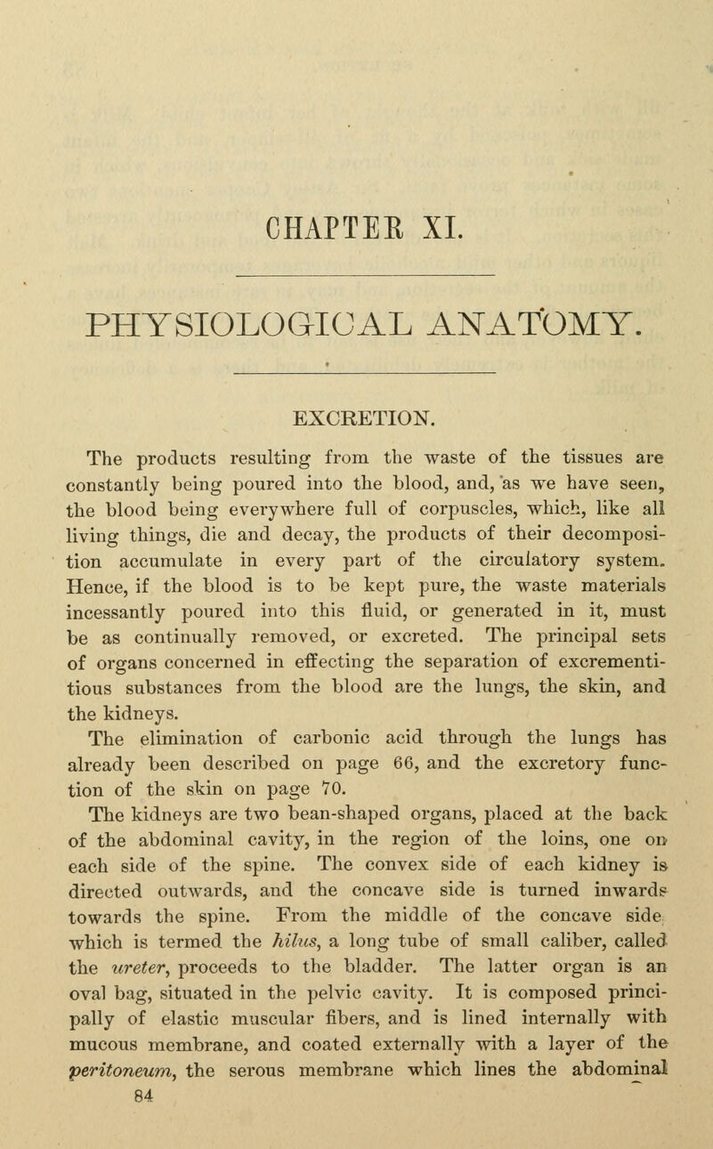 PHYSIOLOGICAL ANATOMY, EXCRETION. The products resulting from the waste of the tissues are constantly being poured into the blood, and, 'as we have seen, the blood being everywhere full of corpuscles, which, like all living things, die and decay, the products of their decomposi- tion accumulate in every part of the circulatory system. Hence, if the blood is to be kept pure, the waste materials incessantly poured into this fluid, or generated in it, must be as continually removed, or excreted. The principal sets of organs concerned in effecting the separation of excrementi- tious substances from the blood are the lungs, the skin, and the kidneys. The elimination of carbonic acid through the lungs has already been described on page 66, and the excretory func- tion of the skin on page 70. The kidneys are two bean-shaped organs, placed at the back of the abdominal cavity, in the region of the loins, one oi> each side of the spine. The convex side of each kidney is directed outwards, and the concave side is turned inwarde towards the spine. From the middle of the concave side which is termed the hilus, a long tube of small caliber, called the ureter, proceeds to the bladder. The latter organ is an oval bag, situated in the pelvic cavity. It is composed princi- pally of elastic muscular fibers, and is lined internally with mucous membrane, and coated externally with a layer of the peritoneum, the serous membrane which lines the abdominal