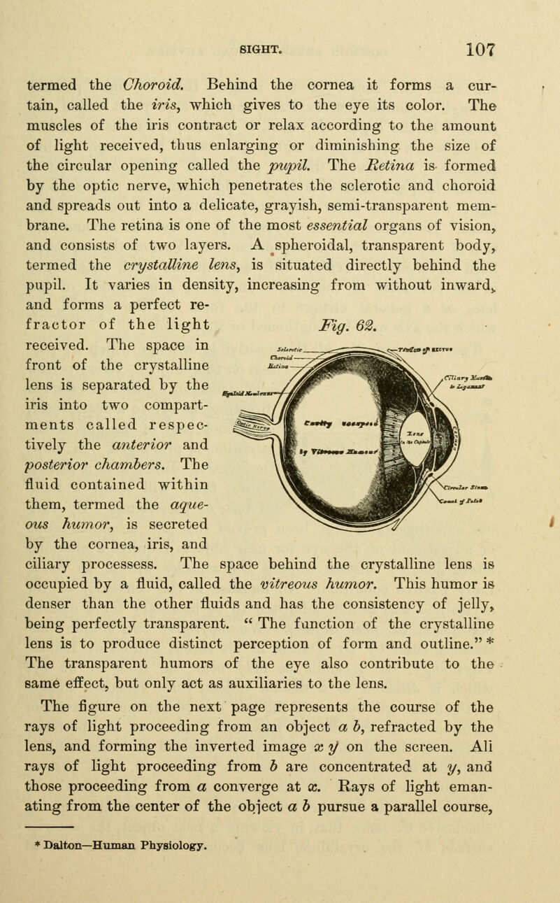 ftCCTV* termed the Choroid. Behind the cornea it forms a cur- tain, called the ^>^s, which gives to the eye its color. The muscles of the iris contract or relax according to the amount of light received, thus enlarging or diminishing the size of the circular opening called the pupil. The JRetina is formed by the optic nerve, which penetrates the sclerotic and choroid and spreads out into a delicate, grayish, semi-transparent mem- brane. The retina is one of the most essential organs of vision, and consists of two layers. A spheroidal, transparent body, termed the crystalline lens, is situated directly behind the pupil. It varies in density, increasing from without inwardj. and forms a perfect re- fractor of the light Fig, 62. received. The space in _^-^~'- ^ r:::iz:s=^:r7-^: front of the crystalline lens is separated by the _ //M^ ^^Bfi^/*^'»--' iris into two compart- ments called respec- tively the anterior and posterior chambers. The fluid contained within them, termed the aque- ous humor, is secreted by the coi-nea, iris, and ciliary processess. The space behind the crystalline lens is occupied by a fluid, called the vitreous humor. This humor is denser than the other fluids and has the consistency of jelly, being perfectly transparent.  The function of the crystalline lens is to produce distinct perception of form and outline. * The transparent humors of the eye also contribute to the same effect, but only act as auxiliaries to the lens. The figure on the next page represents the course of the rays of light proceeding from an object a h, refracted by the lens, and forming the inverted image x 1/ on the screen. All rays of light proceeding from b are concentrated at y, and those proceeding from a converge at x. Rays of light eman- ating from the center of the object a b pursue a parallel course, ♦ DaJton—Human Physiology.