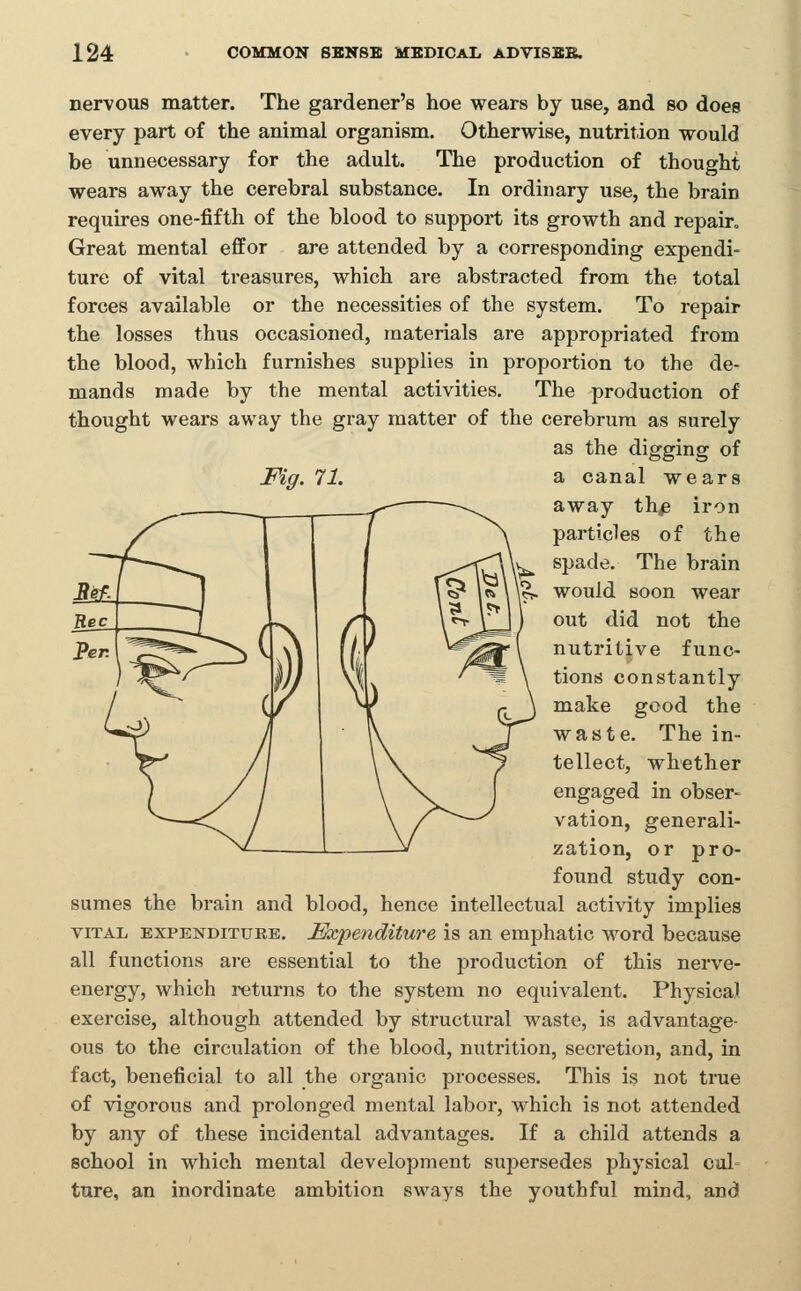 nervous matter. The gardener's hoe wears by use, and so does every part of the animal organism. Otherwise, nutrition would be unnecessary for the adult. The production of thought wears away the cerebral substance. In ordinary use, the brain requires one-fifth of the blood to support its growth and repair. Great mental effor are attended by a corresponding expendi- ture of vital treasures, which are abstracted from the total forces available or the necessities of the system. To repair the losses thus occasioned, materials are appropriated from the blood, which furnishes supplies in proportion to the de- mands made by the mental activities. The production of thought wears away the gray matter of the cerebrum as surely as the digging of Fig. 71. a canal wears away th^ iron particles of the spade. The brain would soon wear out did not the nutritive func- tions constantly make good the waste. The in- tellect, whether engaged in obser- vation, generali- zation, or pro- found study con- sumes the brain and blood, hence intellectual activity implies VITAL EXPENDITURE. Expenditure is an emphatic word because all functions are essential to the production of this nerve- energy, which returns to the system no equivalent. Physical exercise, although attended by structural waste, is advantage- ous to the circulation of the blood, nutrition, secretion, and, in fact, beneficial to all the organic processes. This is not true of vigorous and prolonged mental labor, which is not attended by any of these incidental advantages. If a child attends a school in which mental development supersedes physical cul= ture, an inordinate ambition sways the youthful mind, and