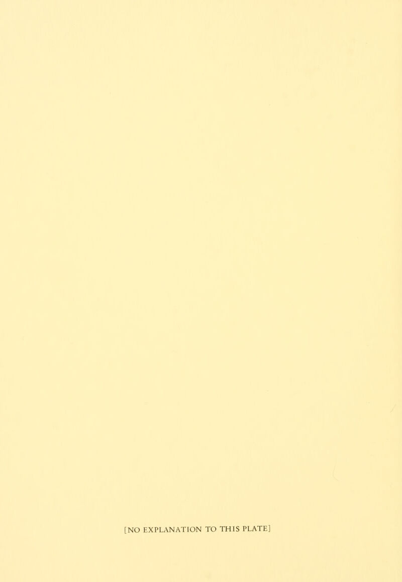 [NO EXPLANATION TO THIS PLATE]